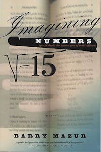 Imagining Numbers