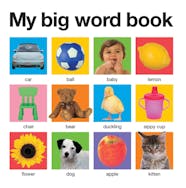 My Big Word Book casebound 