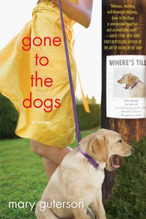 Gone to the Dogs