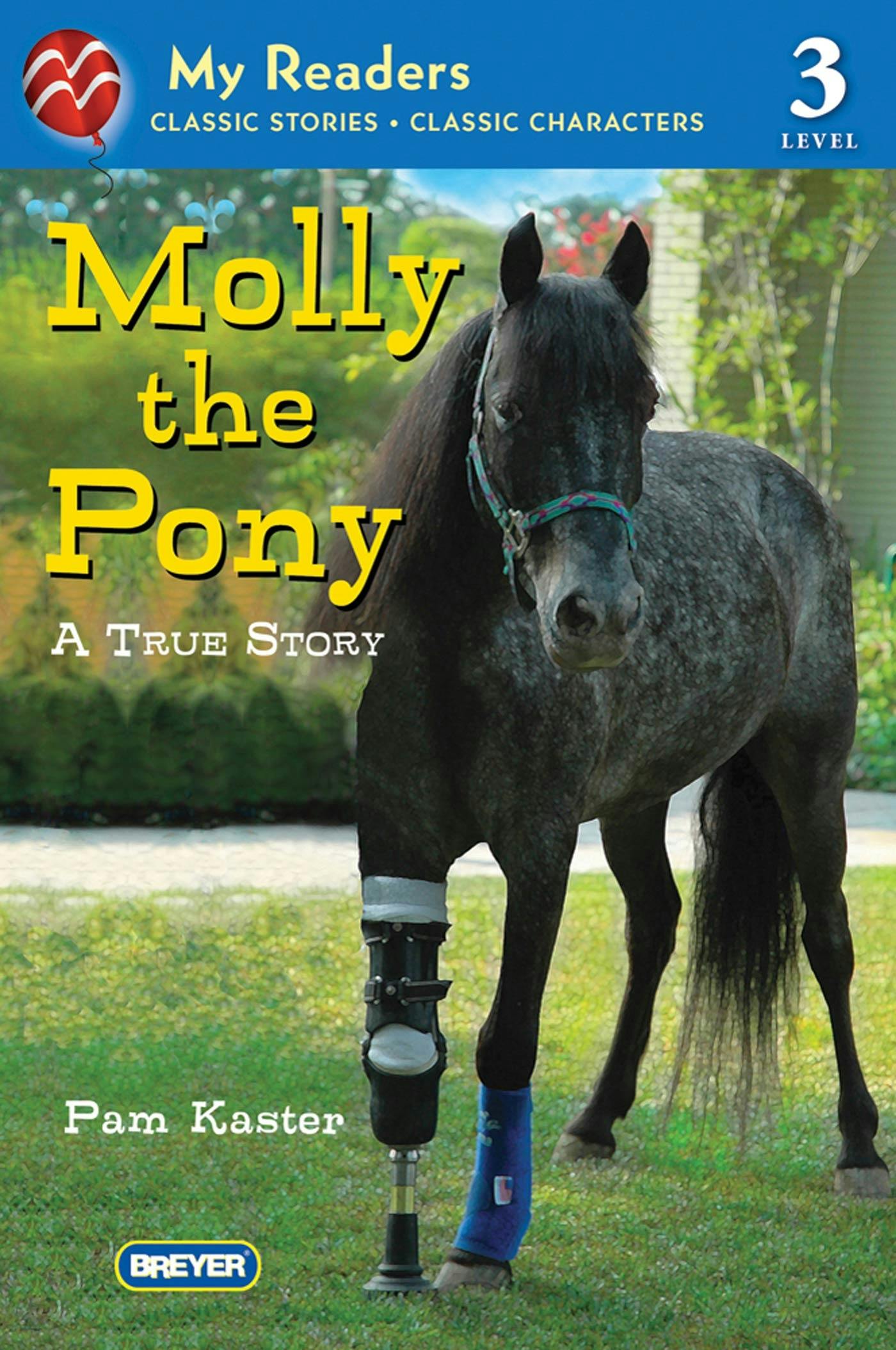 Image of Molly the Pony