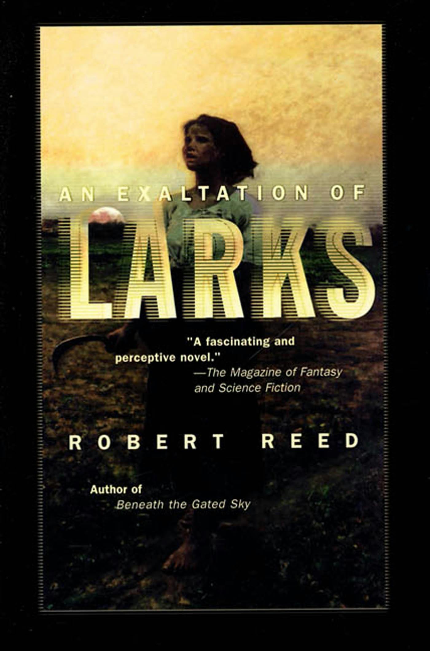 Cover for the book titled as: An Exaltation of Larks