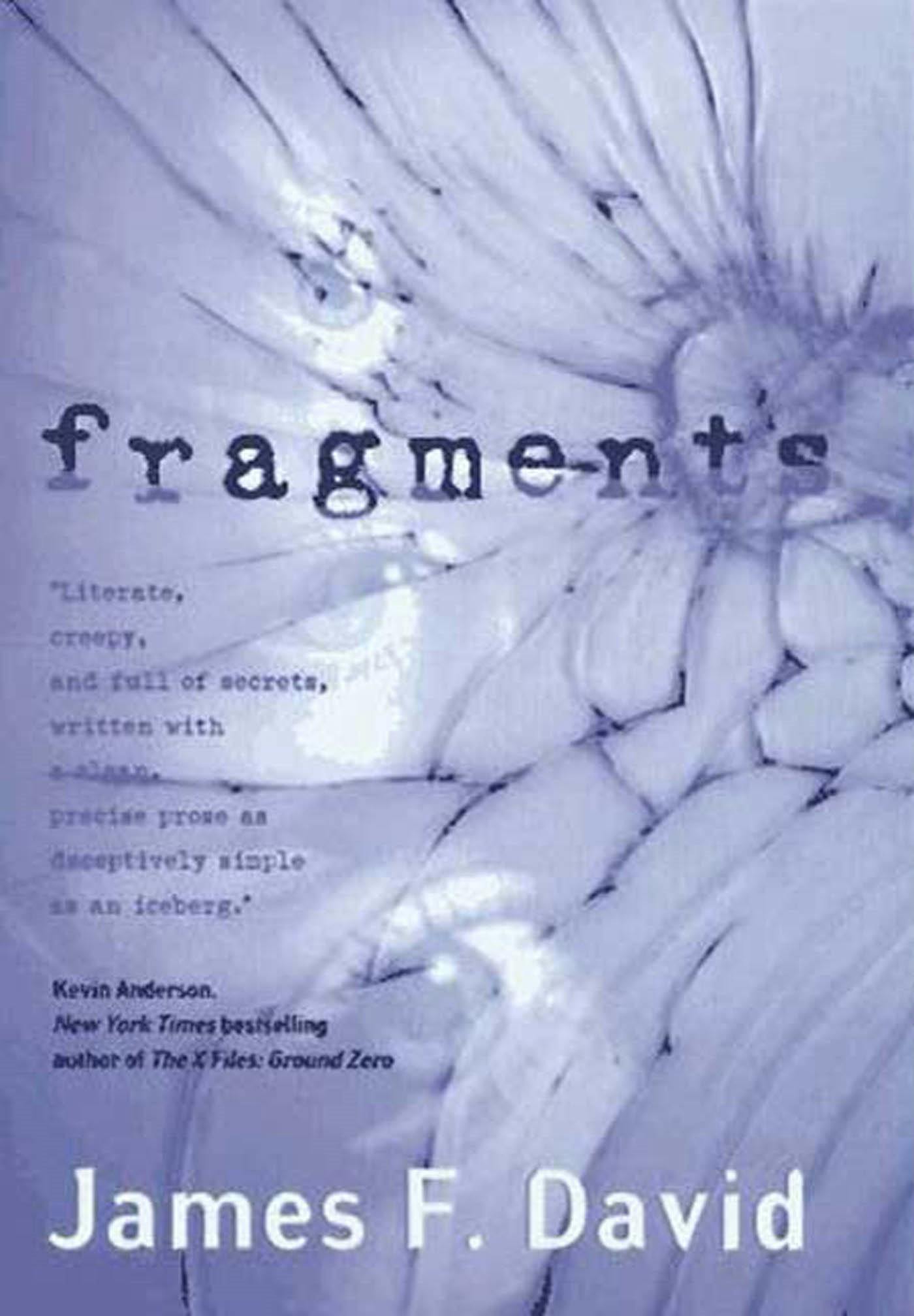 Cover for the book titled as: Fragments