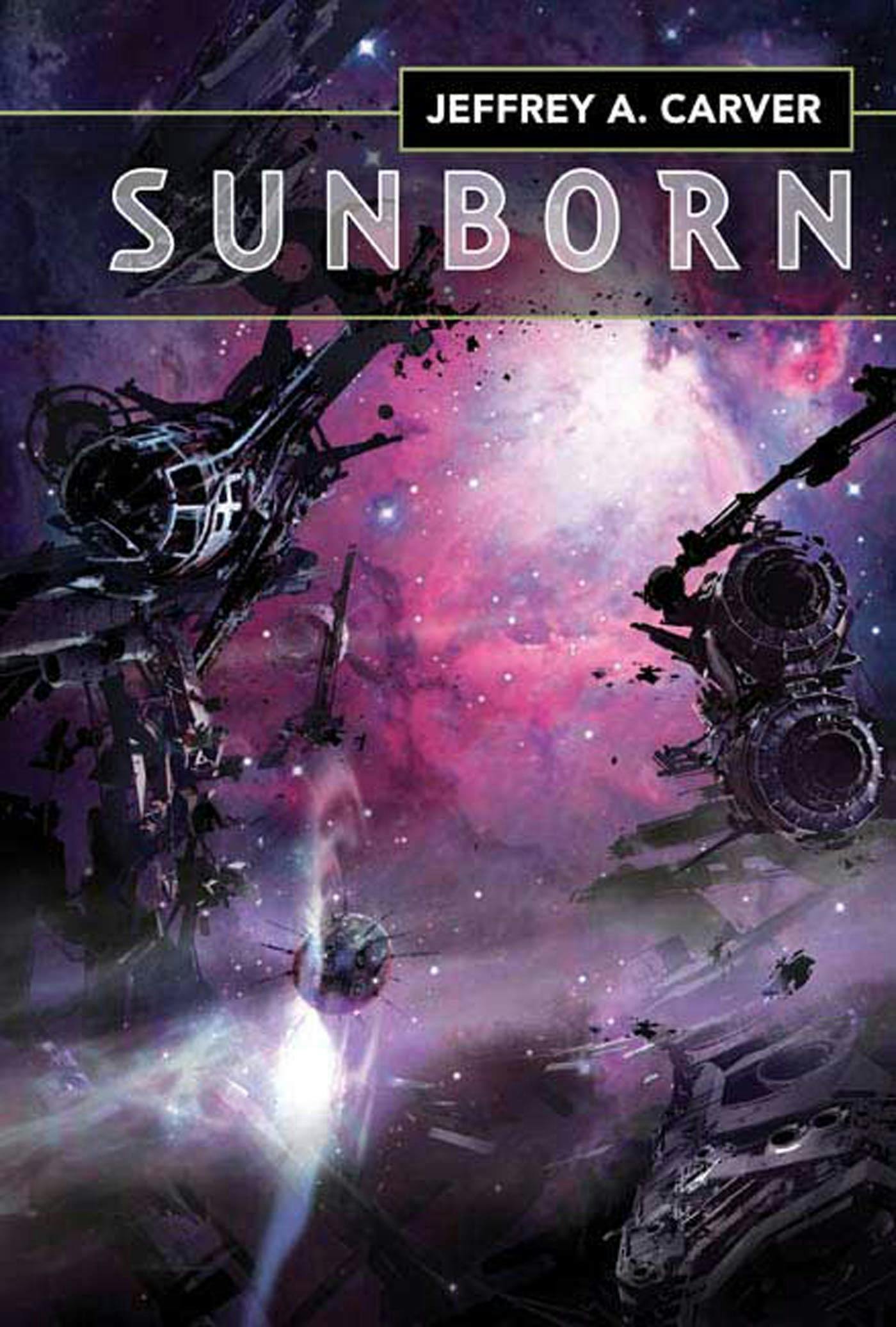 Cover for the book titled as: Sunborn