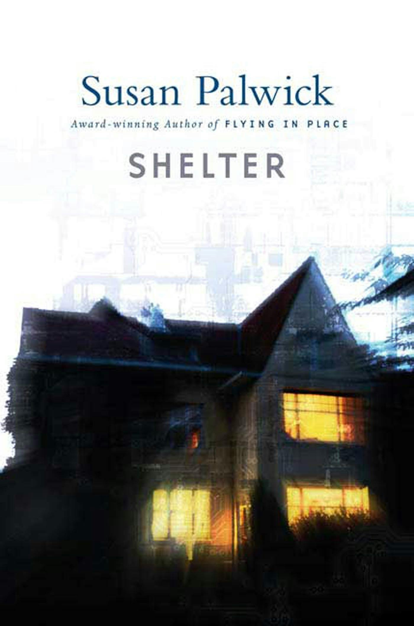 Cover for the book titled as: Shelter