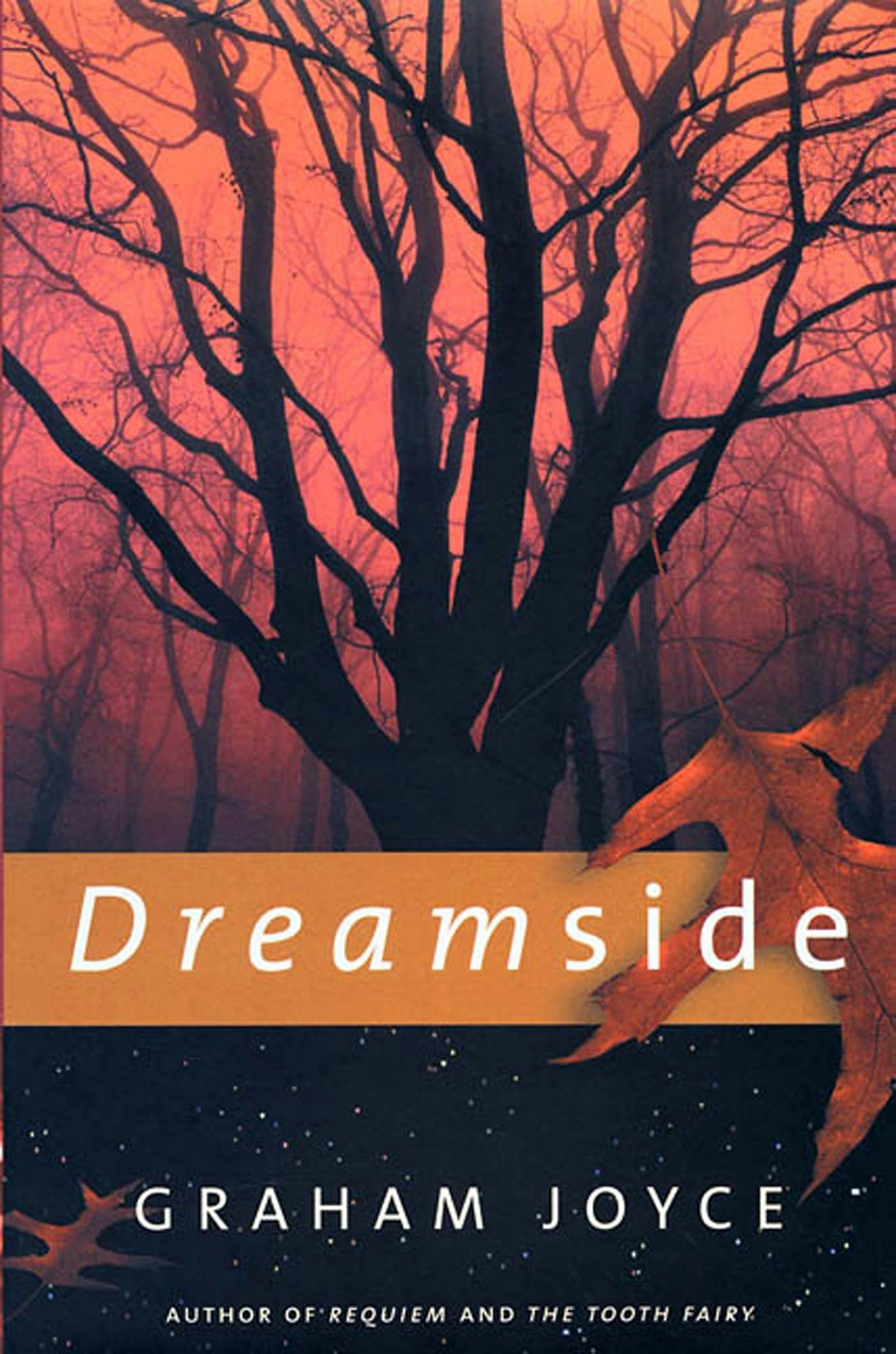 Cover for the book titled as: Dreamside