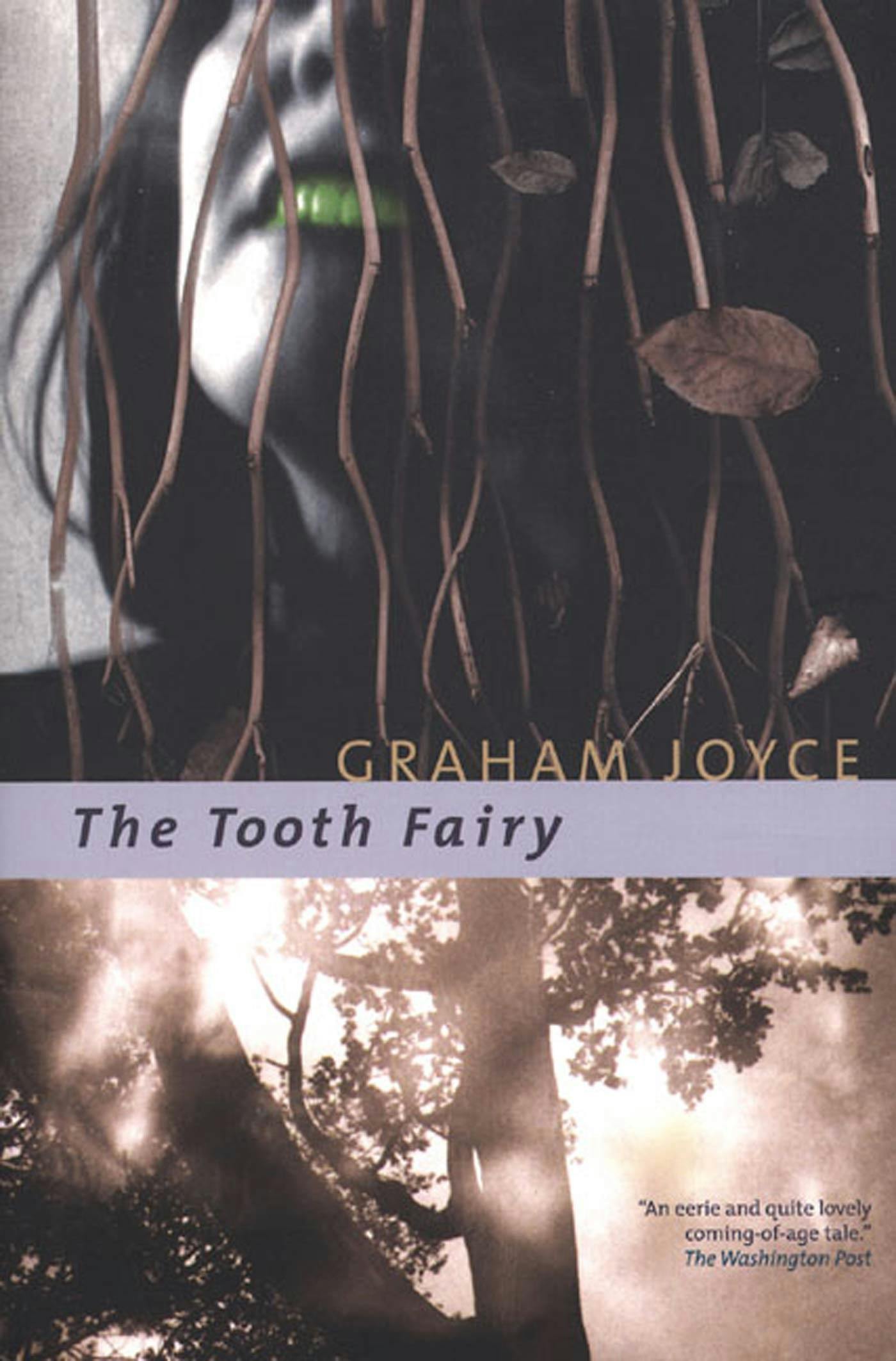 Cover for the book titled as: The Tooth Fairy