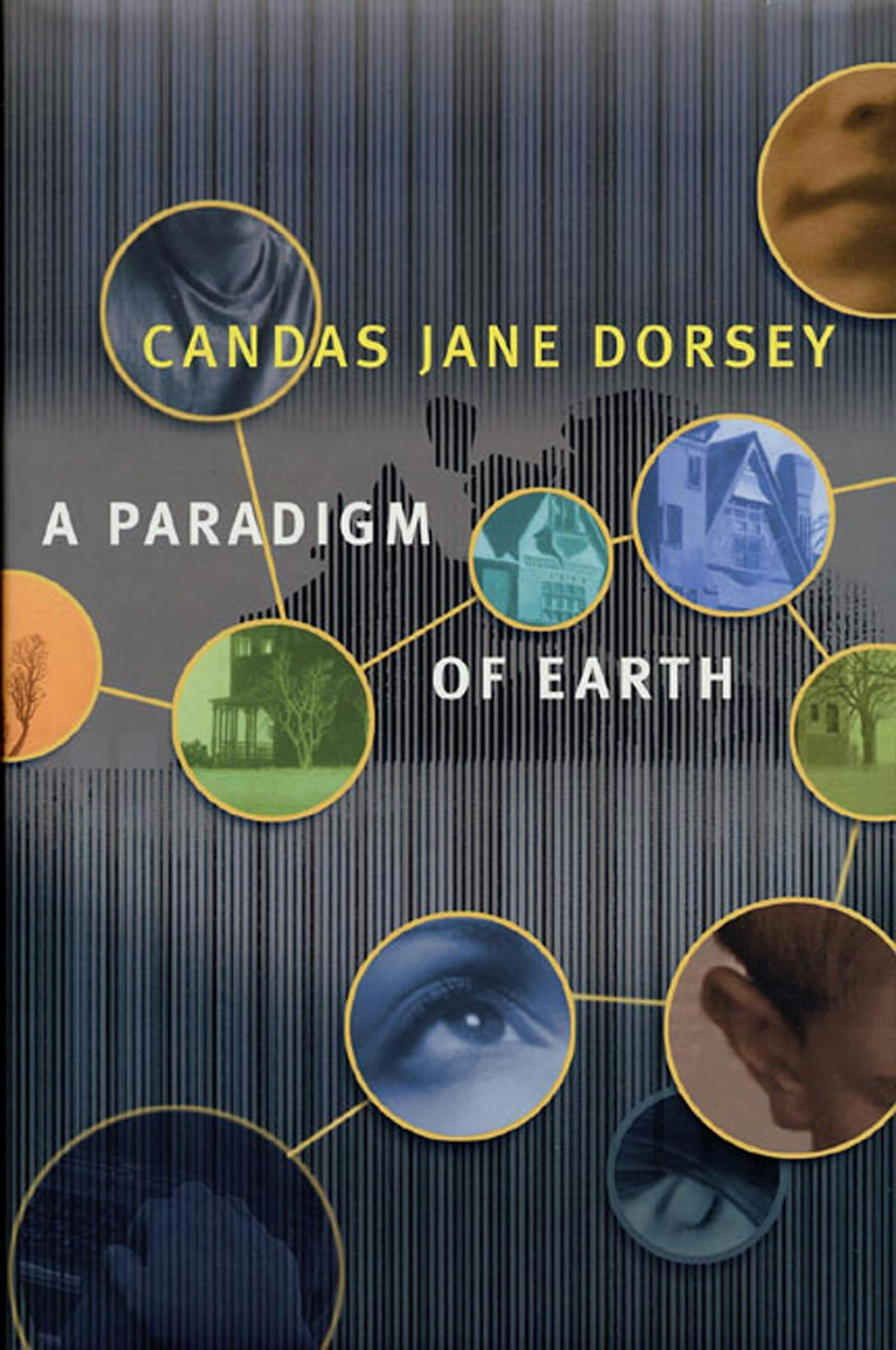 Cover for the book titled as: A Paradigm of Earth