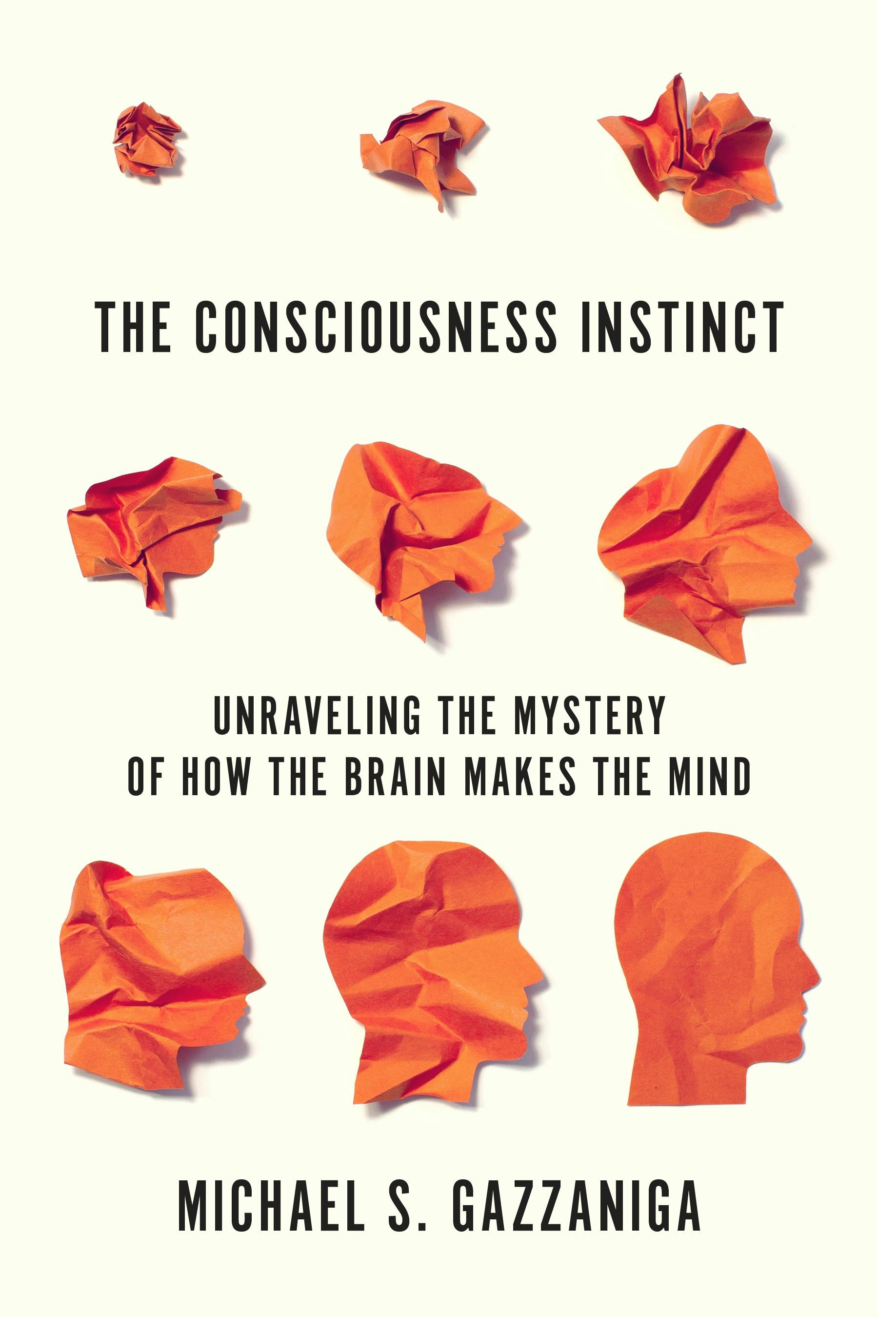 Unraveling The Mystery Is Barbara Sheehan Still Alive - v8kb95i