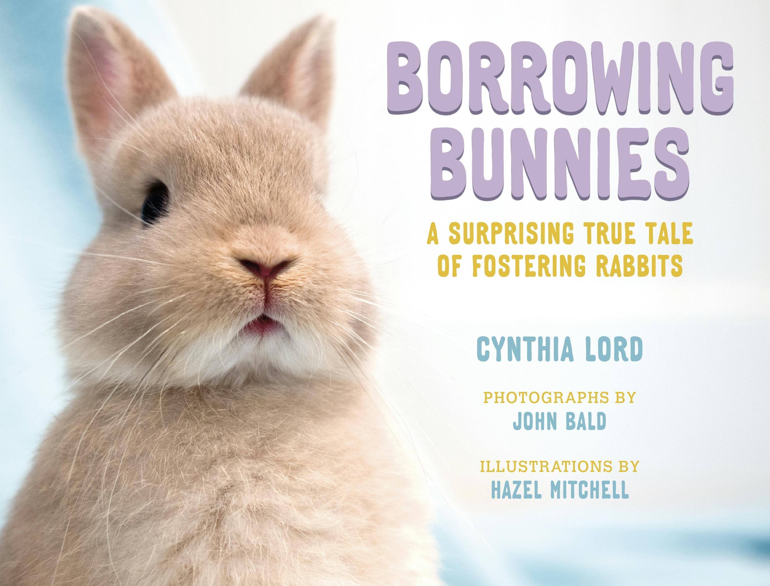Return Rabbit x Honeylove: How have you benefited from returns