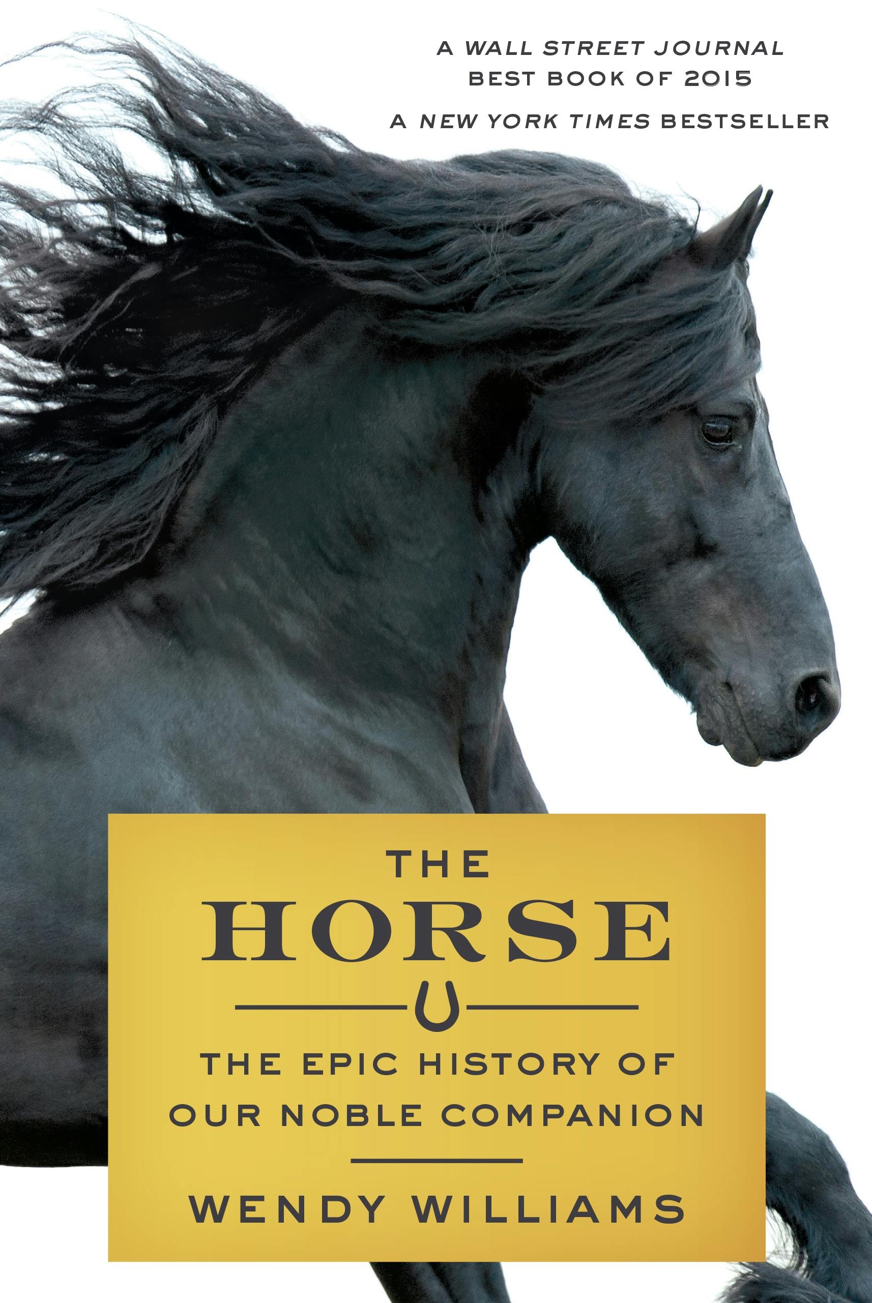 PDF) A Horse! A Horse! My Kingdom for a Horse!