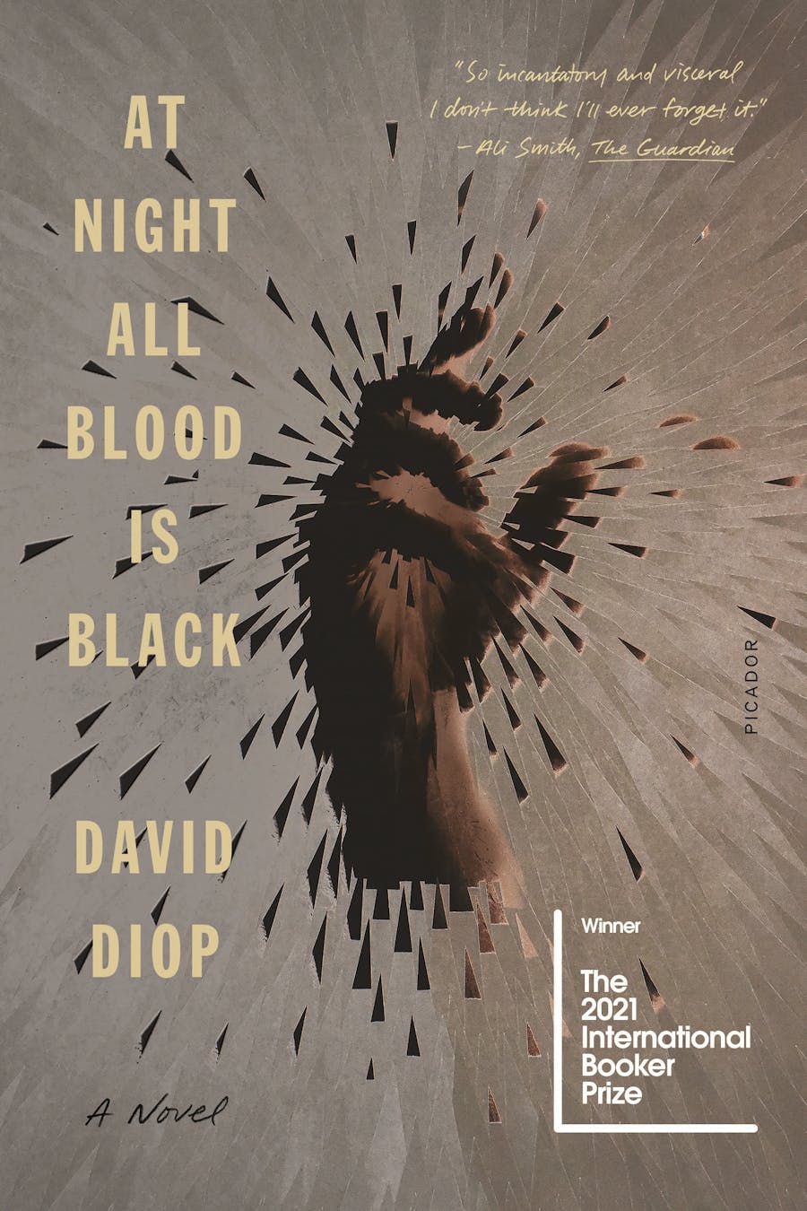 At Night All Blood Is Black by David Diop; Translated from the French by Anna Moschovakis