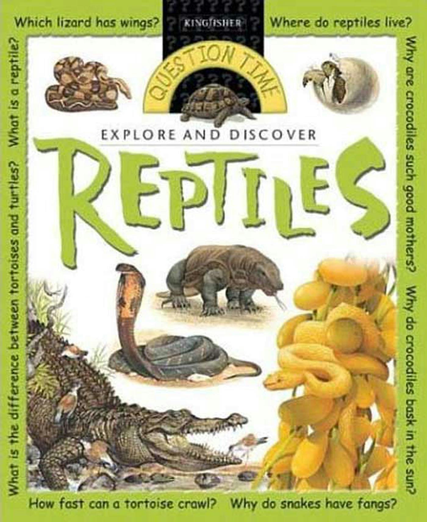 Image of Explore and Discover: Reptiles