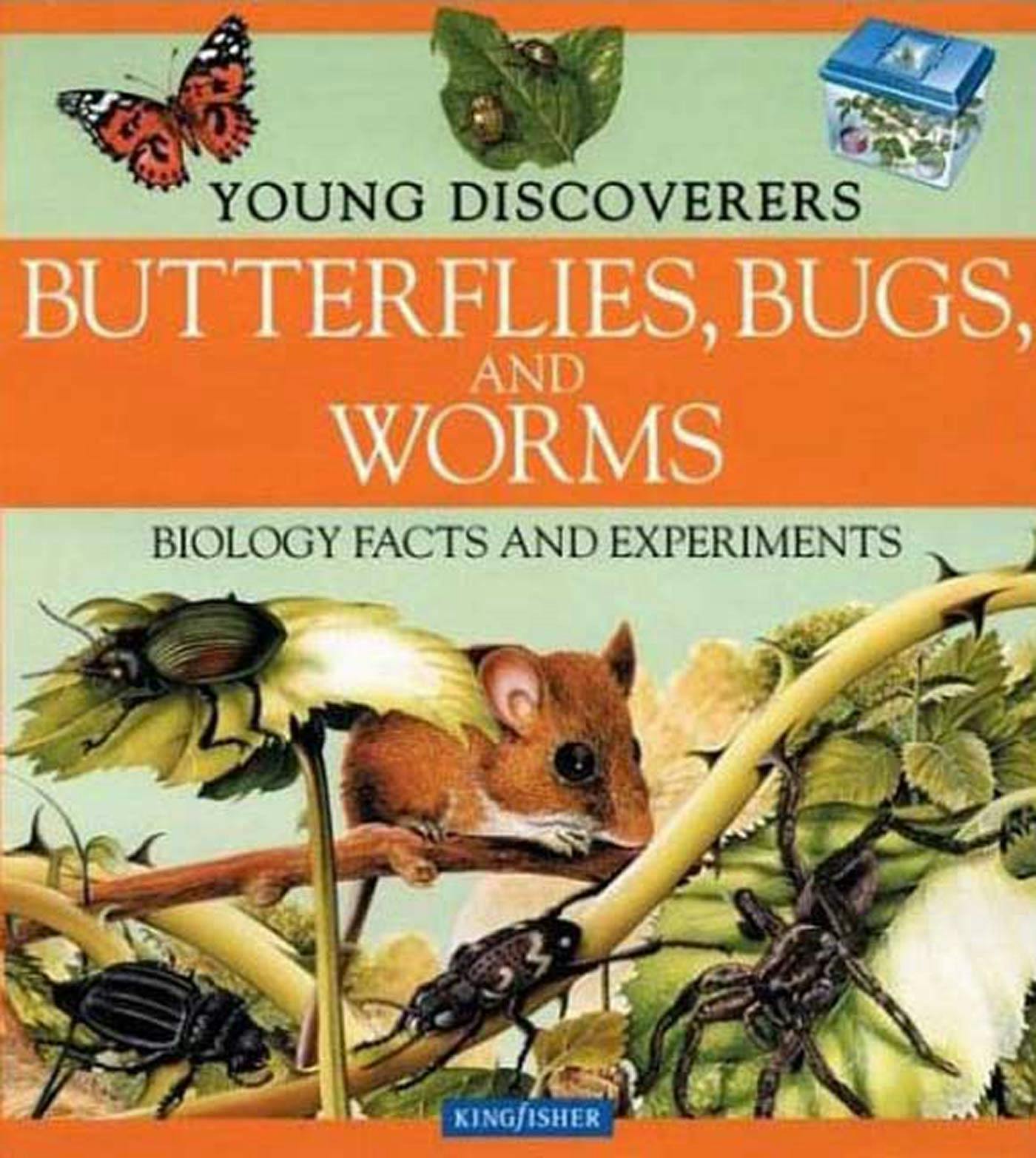 butterflies-bugs-and-worms