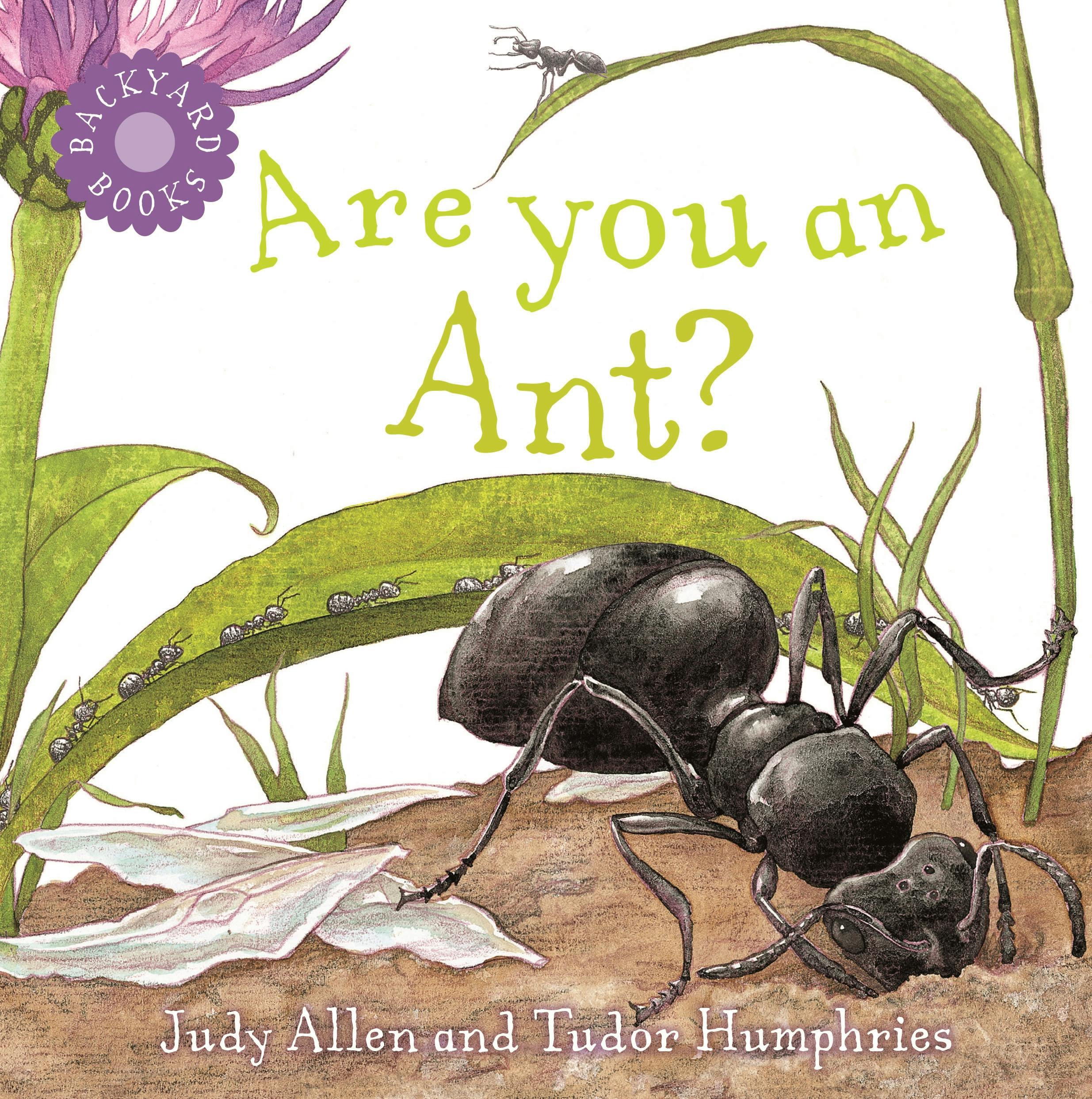are you a bee by judy allen