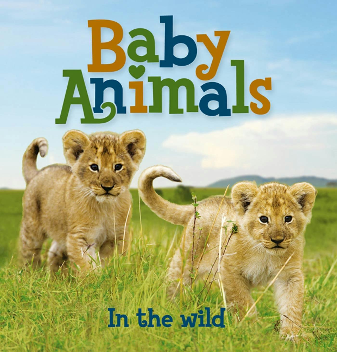 Baby Animals In the Wild