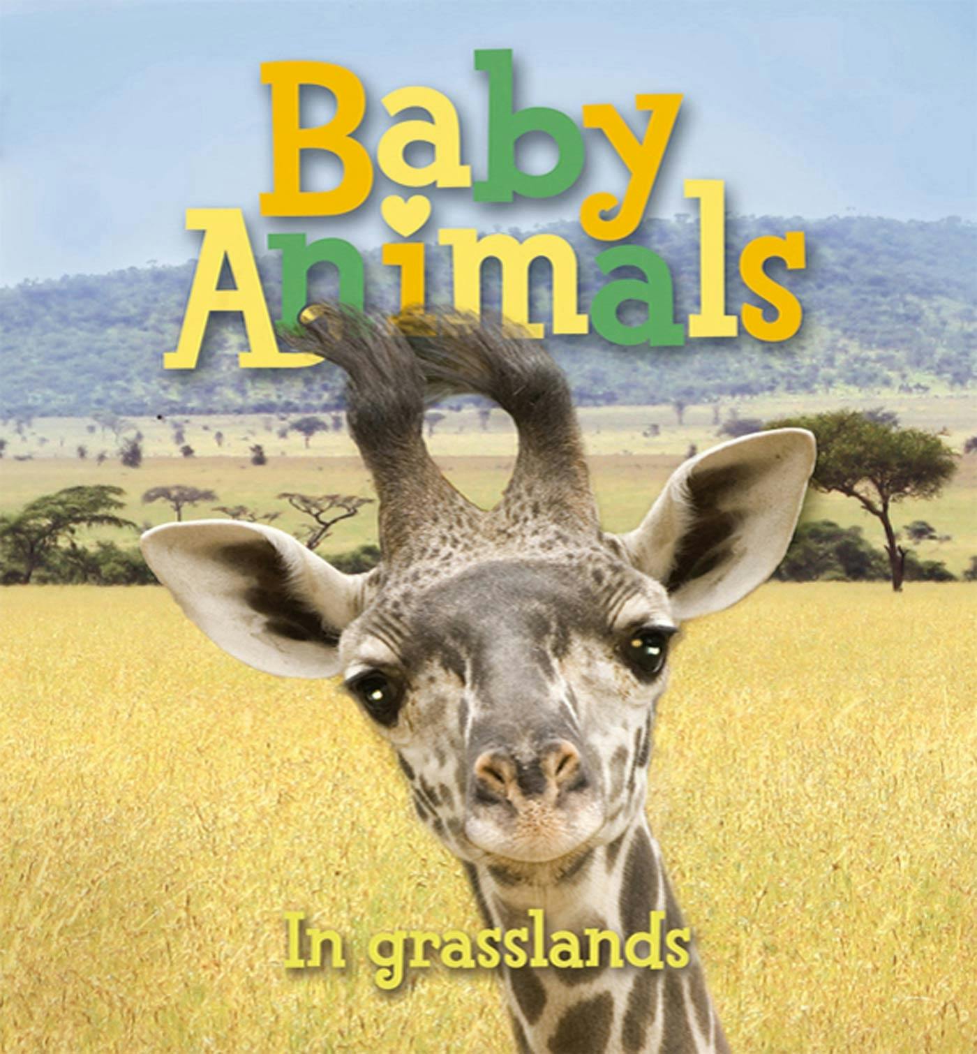 Baby Animals In Grasslands