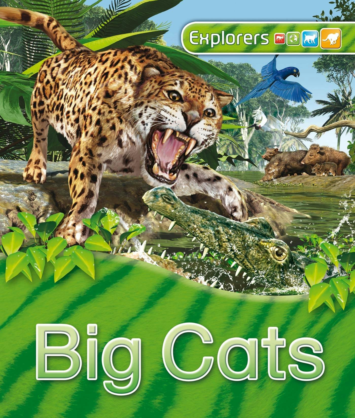 Big Cats: Jaguars Interactive Foldable Booklets by Knowledge Box