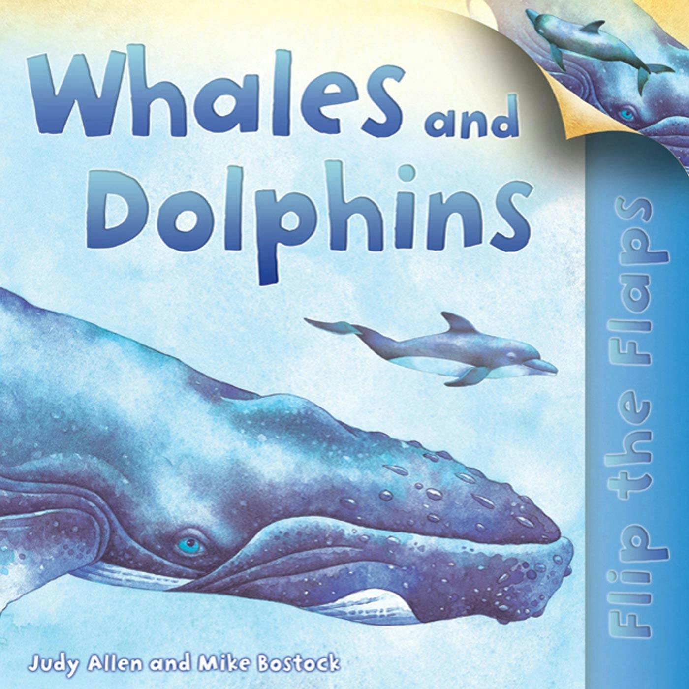 Flip The Flaps: Whales and Dolphins