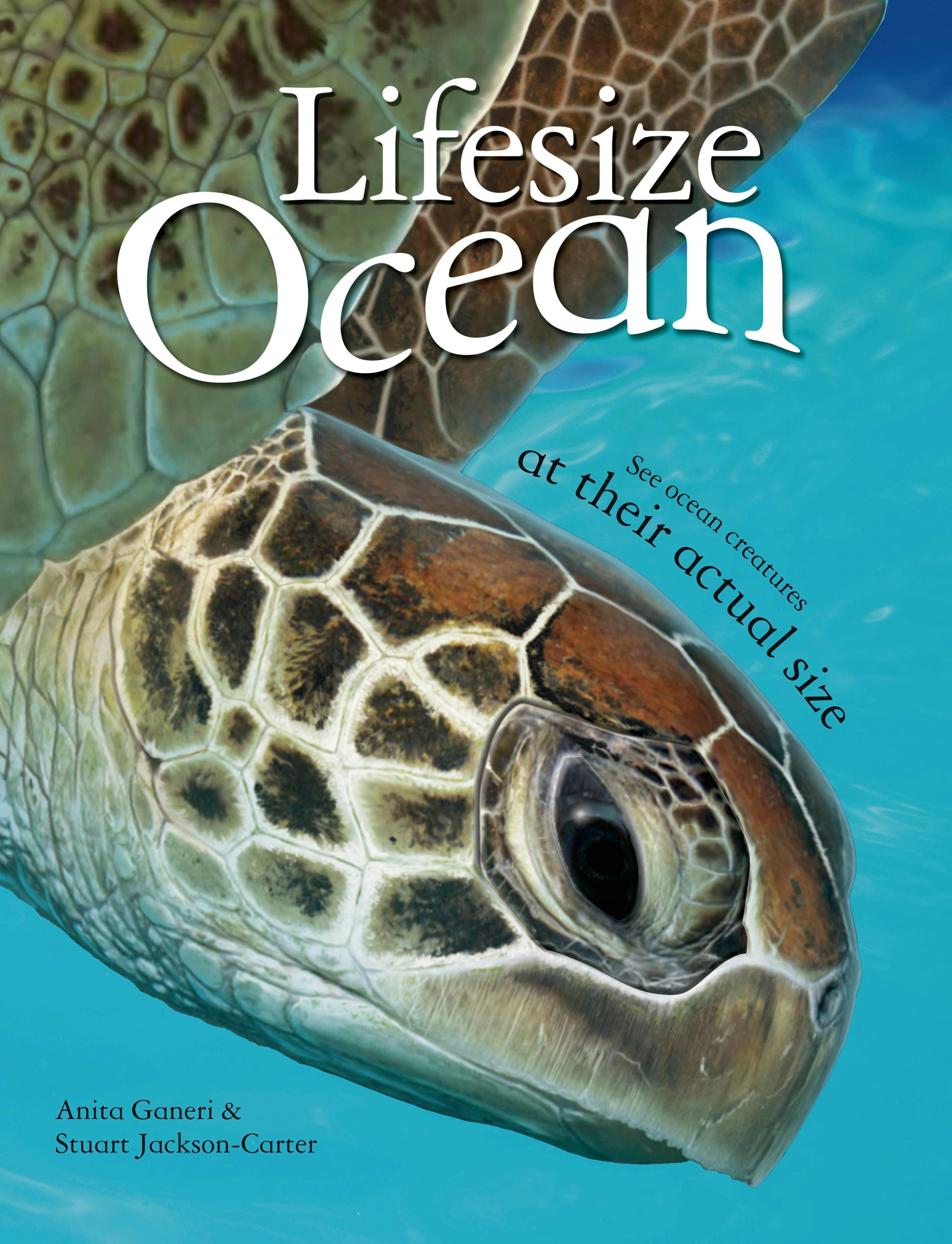 Lifesize: Ocean