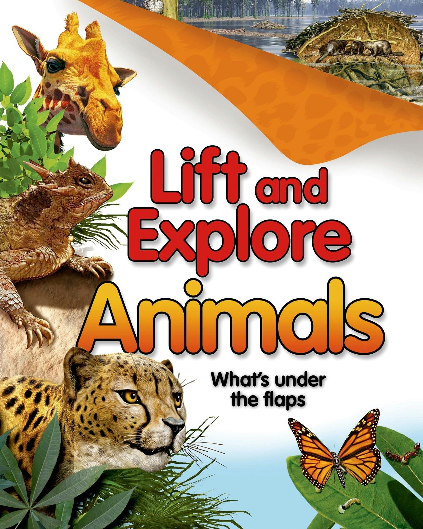 Lift and Explore: Animals