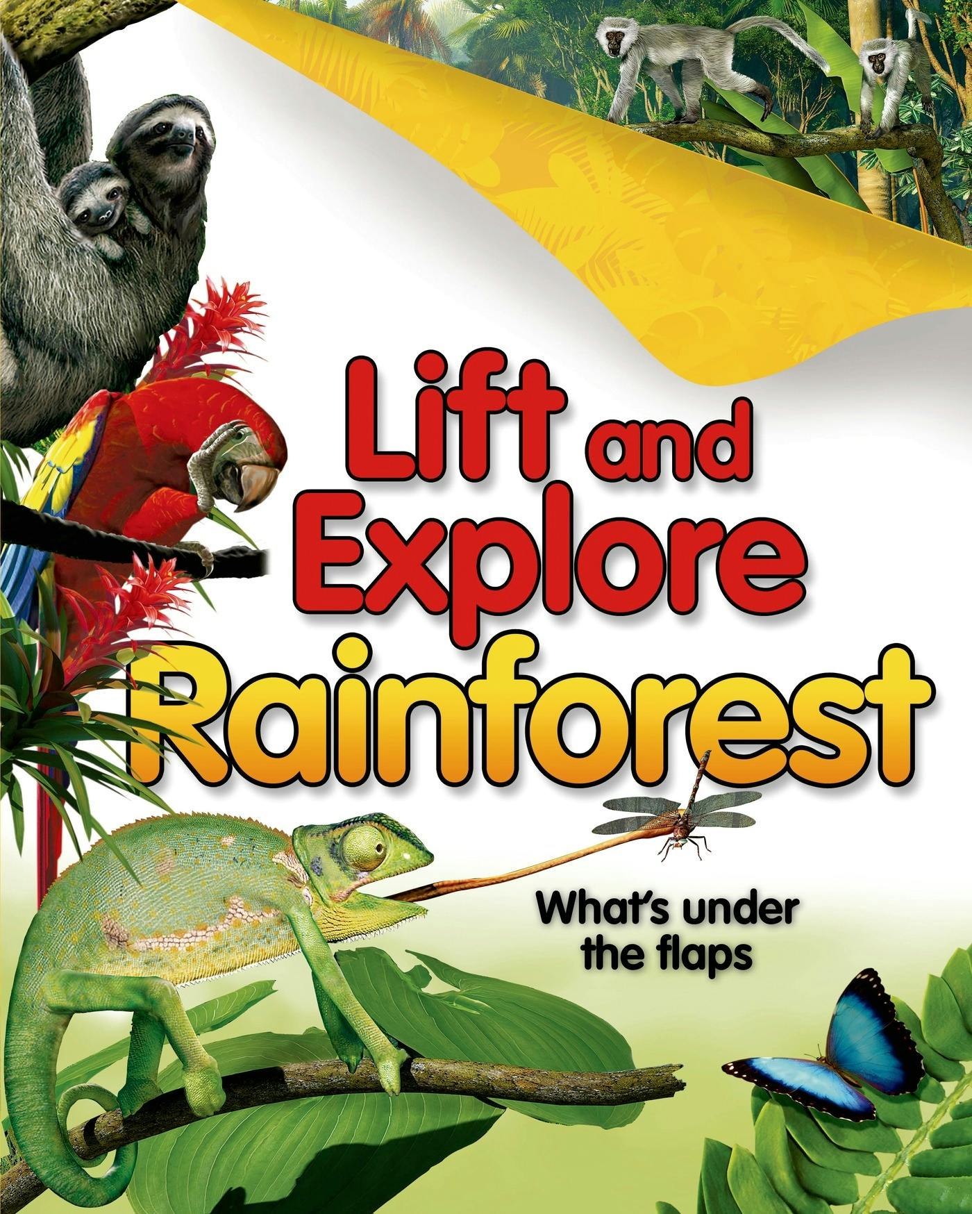 Lift and Explore: Rainforests