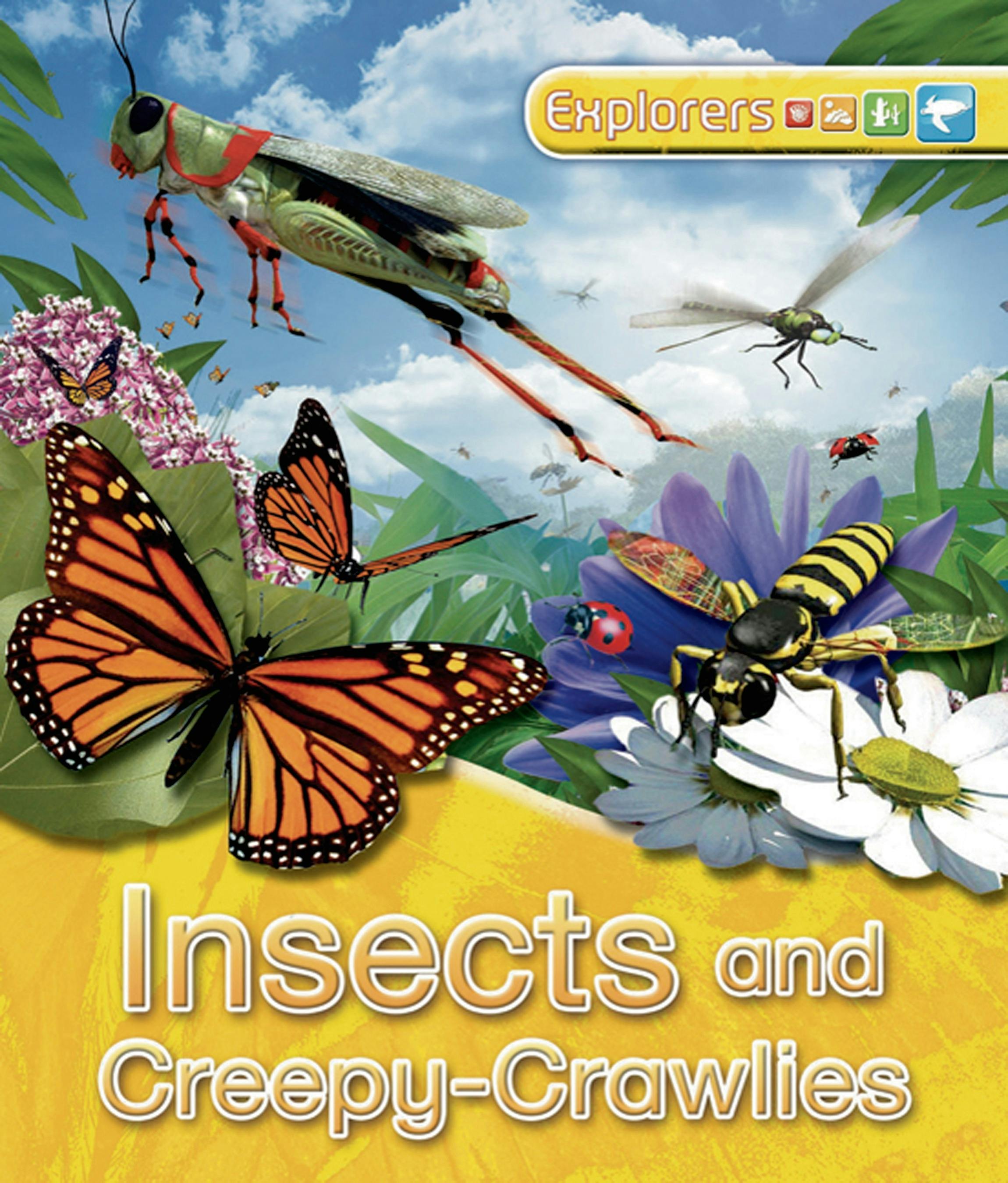 Explorers: Insects and Creepy-Crawlies