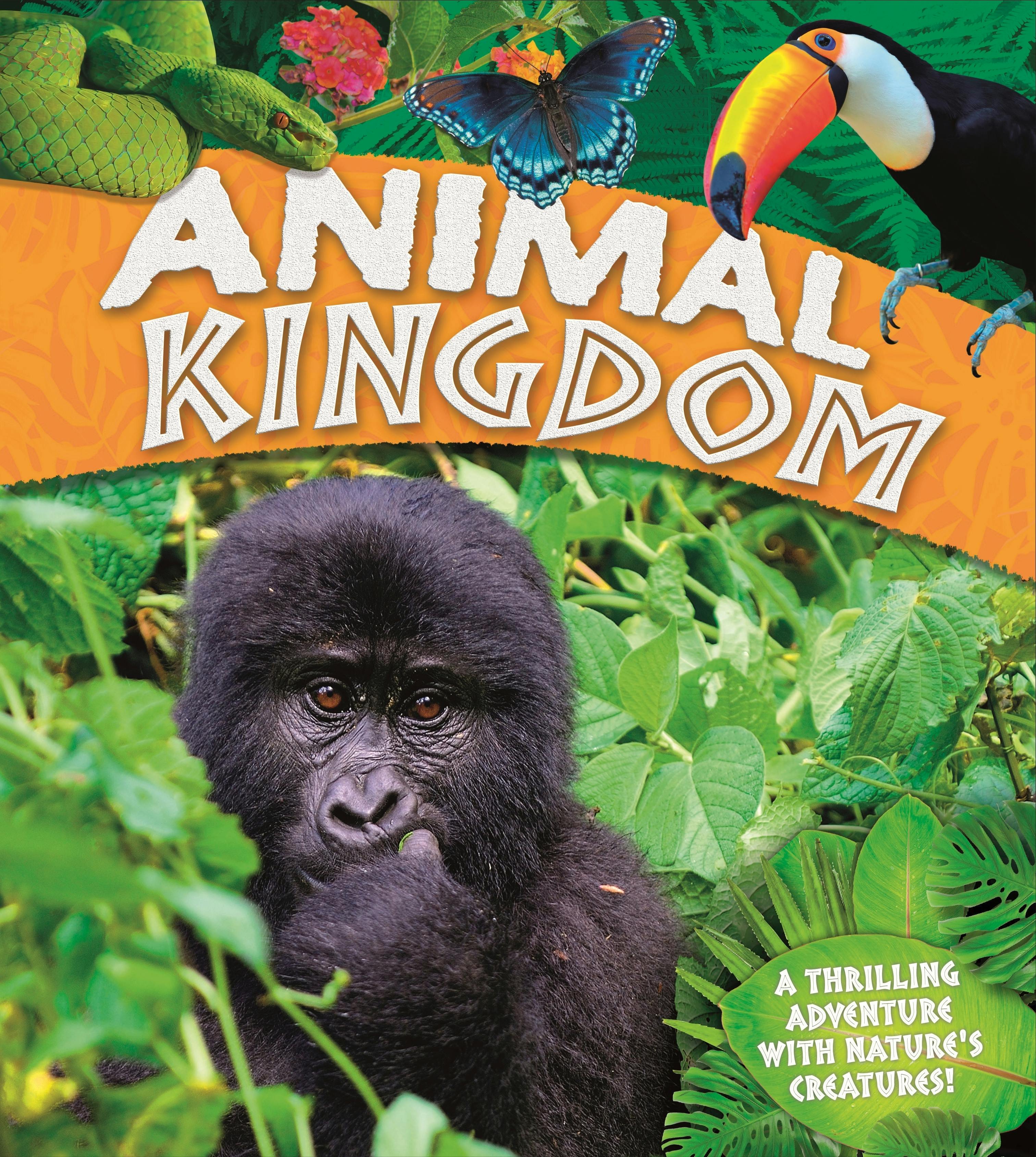 Animalia Kingdom Animals