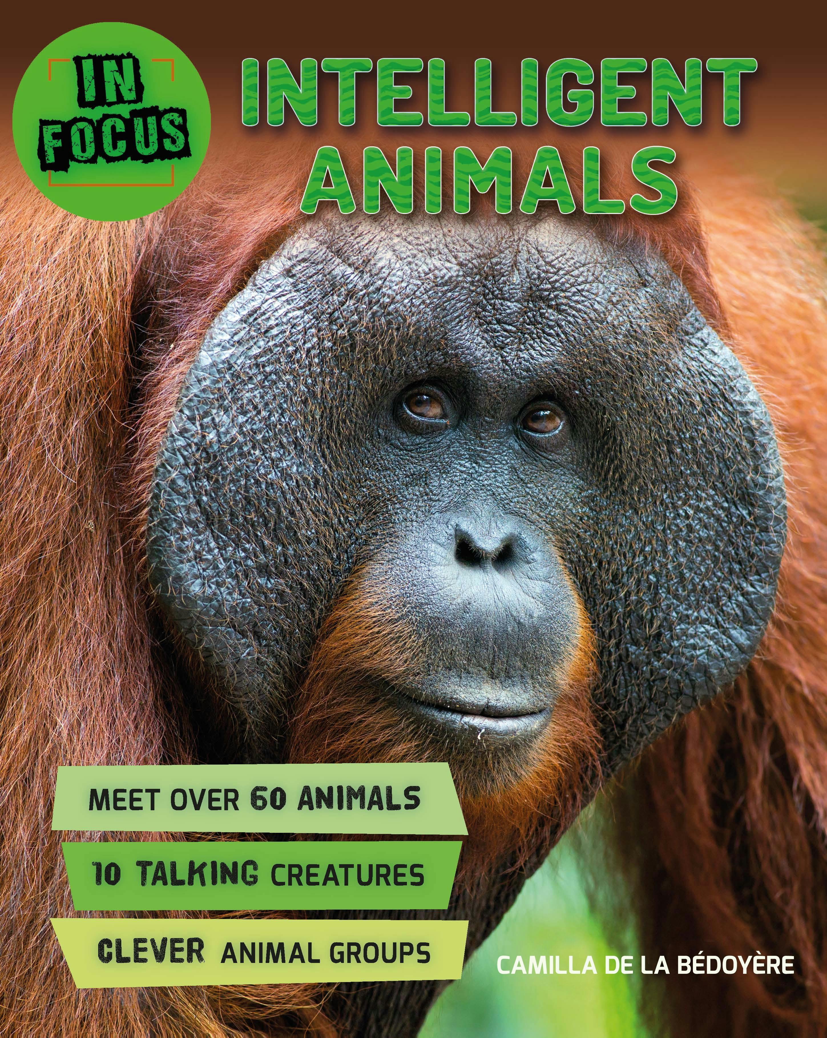 in-focus-intelligent-animals