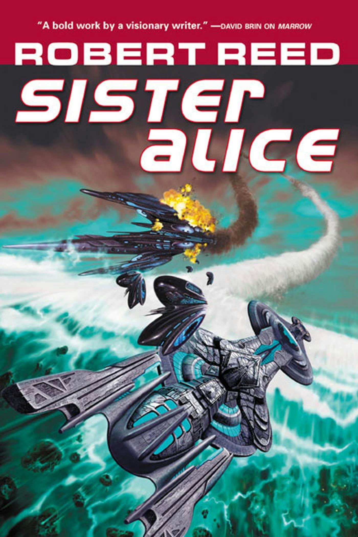 Cover for the book titled as: Sister Alice