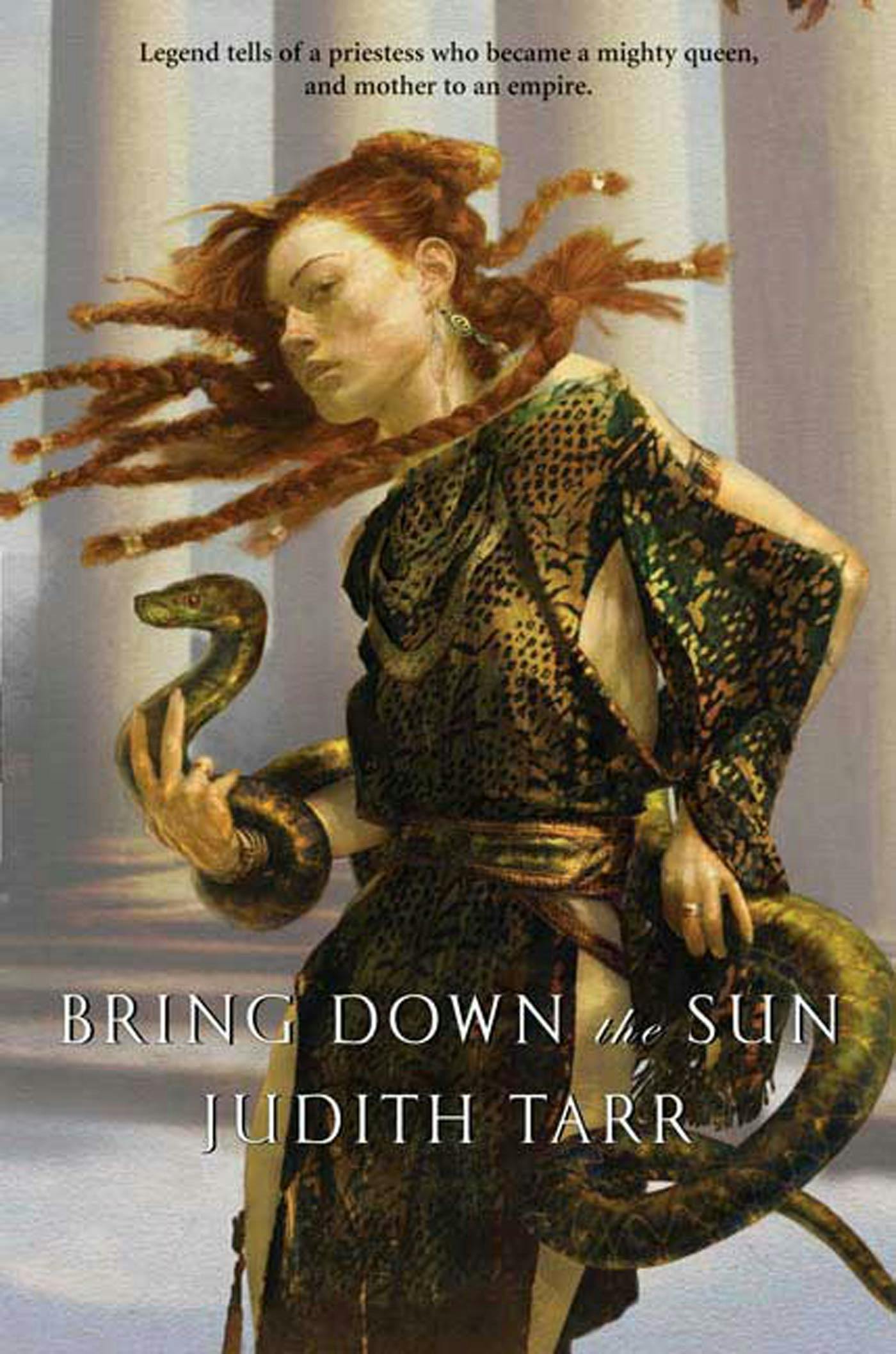 Cover for the book titled as: Bring Down the Sun