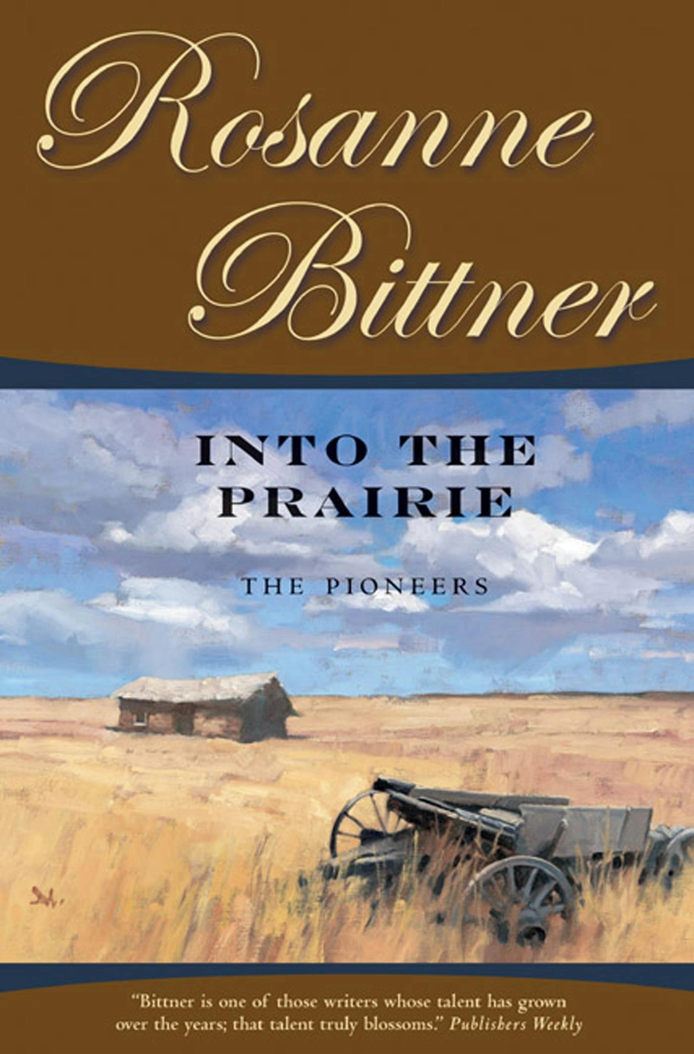 Cover for the book titled as: Into the Prairie