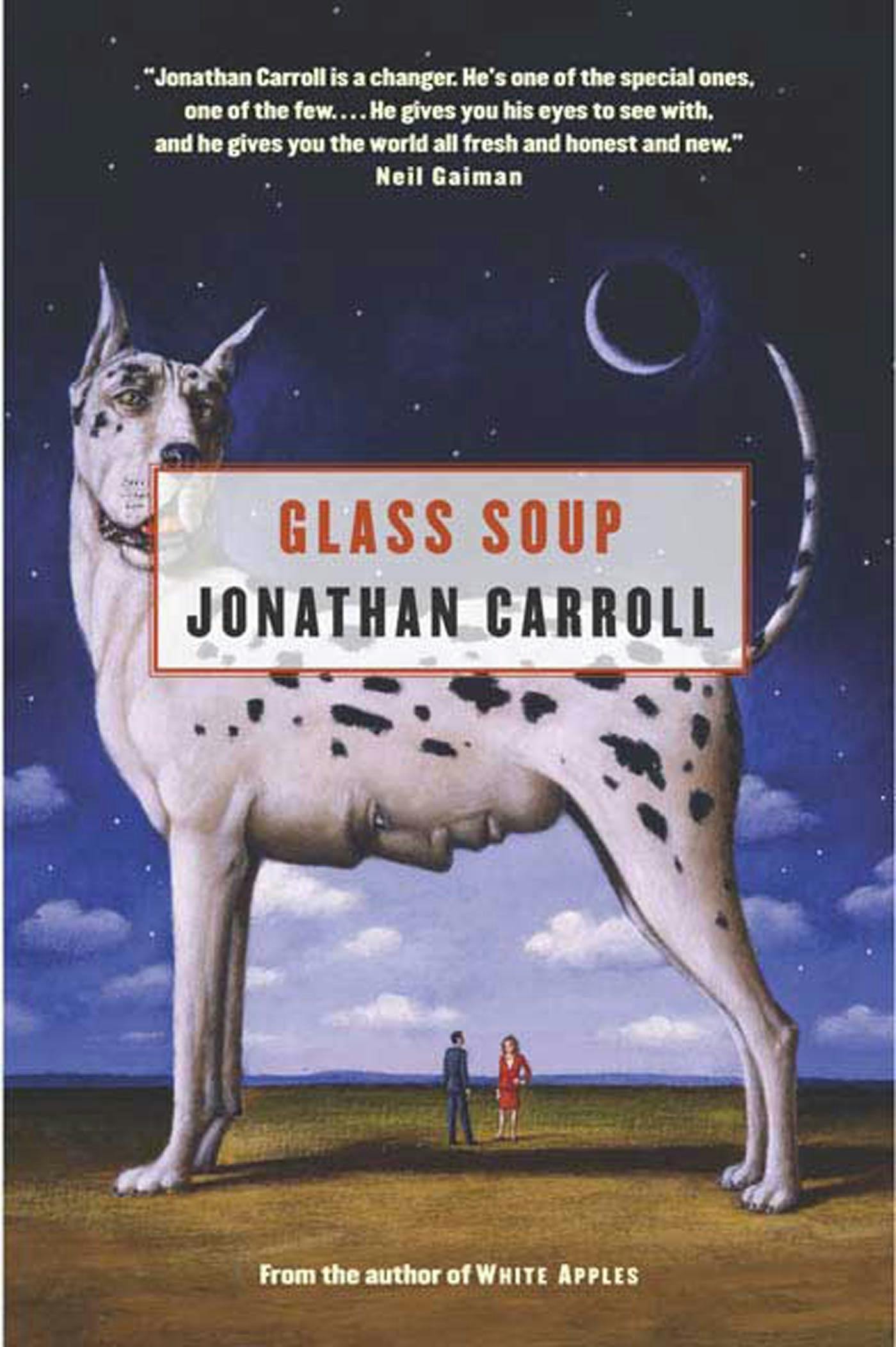 Cover for the book titled as: Glass Soup