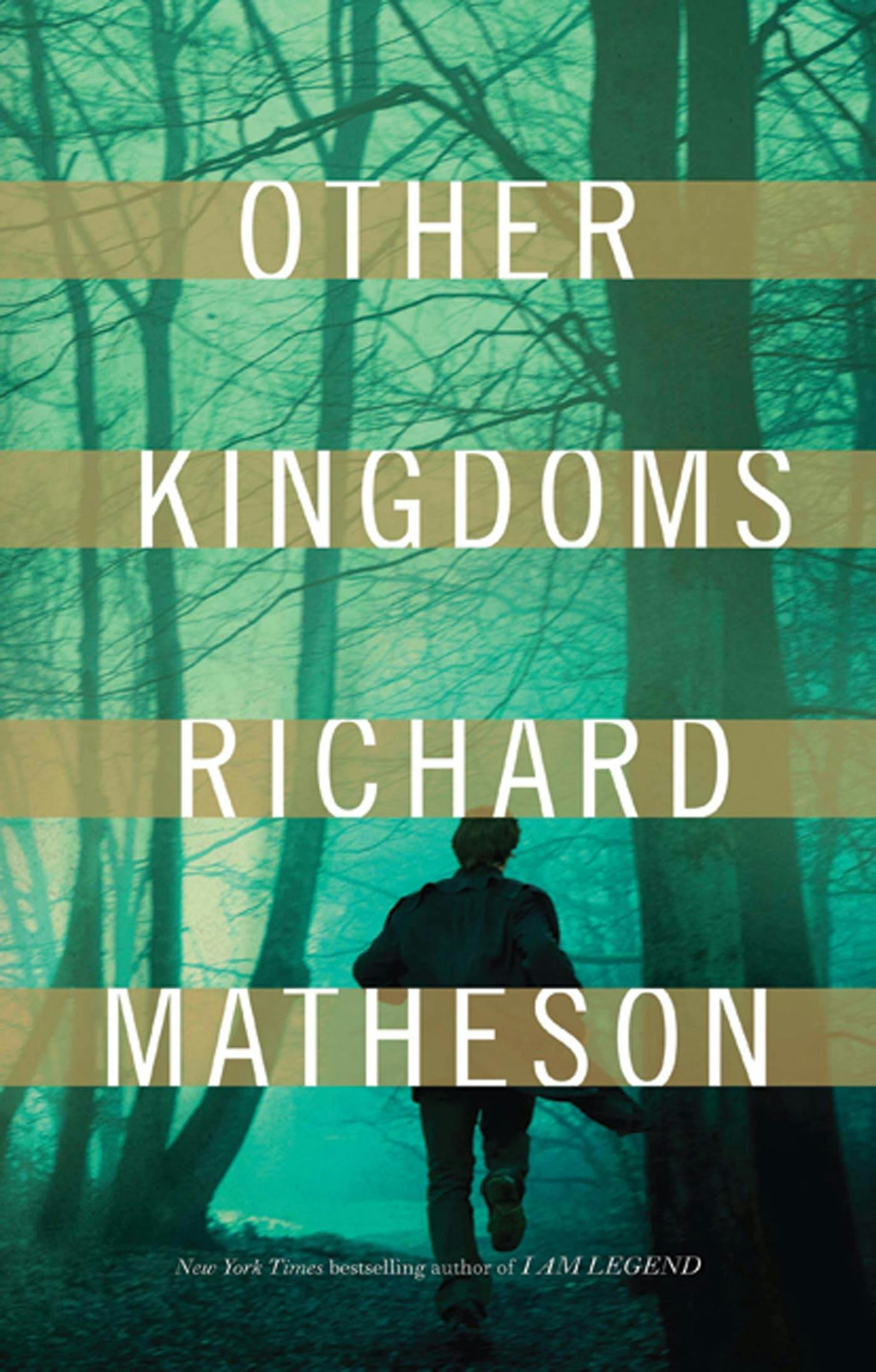 Cover for the book titled as: Other Kingdoms