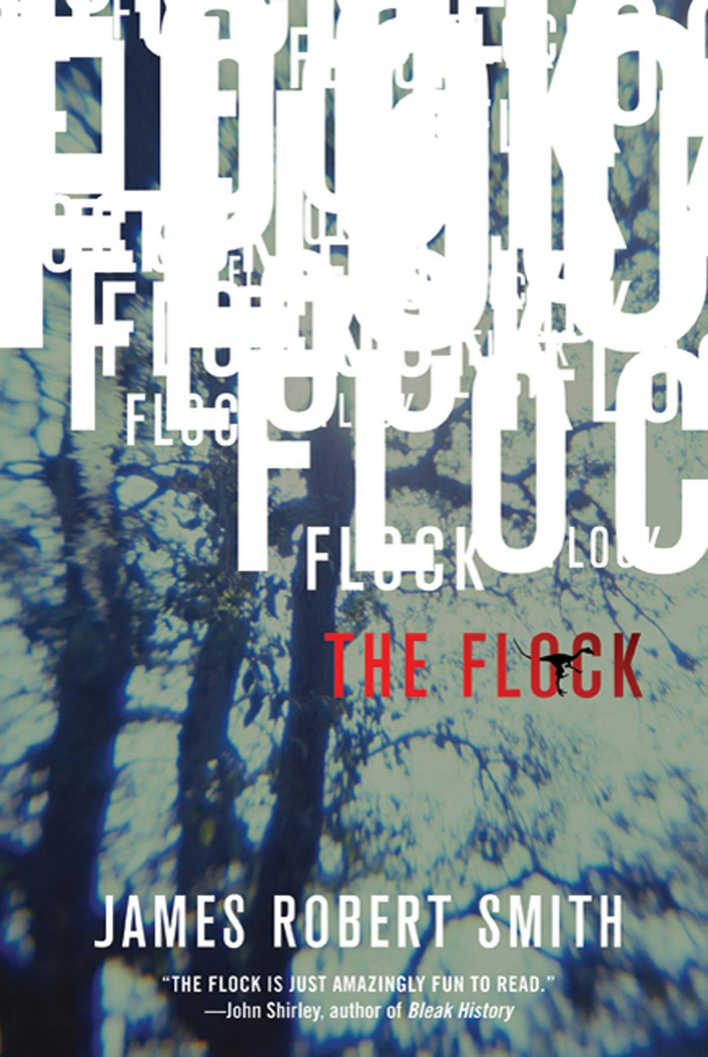 Cover for the book titled as: The Flock