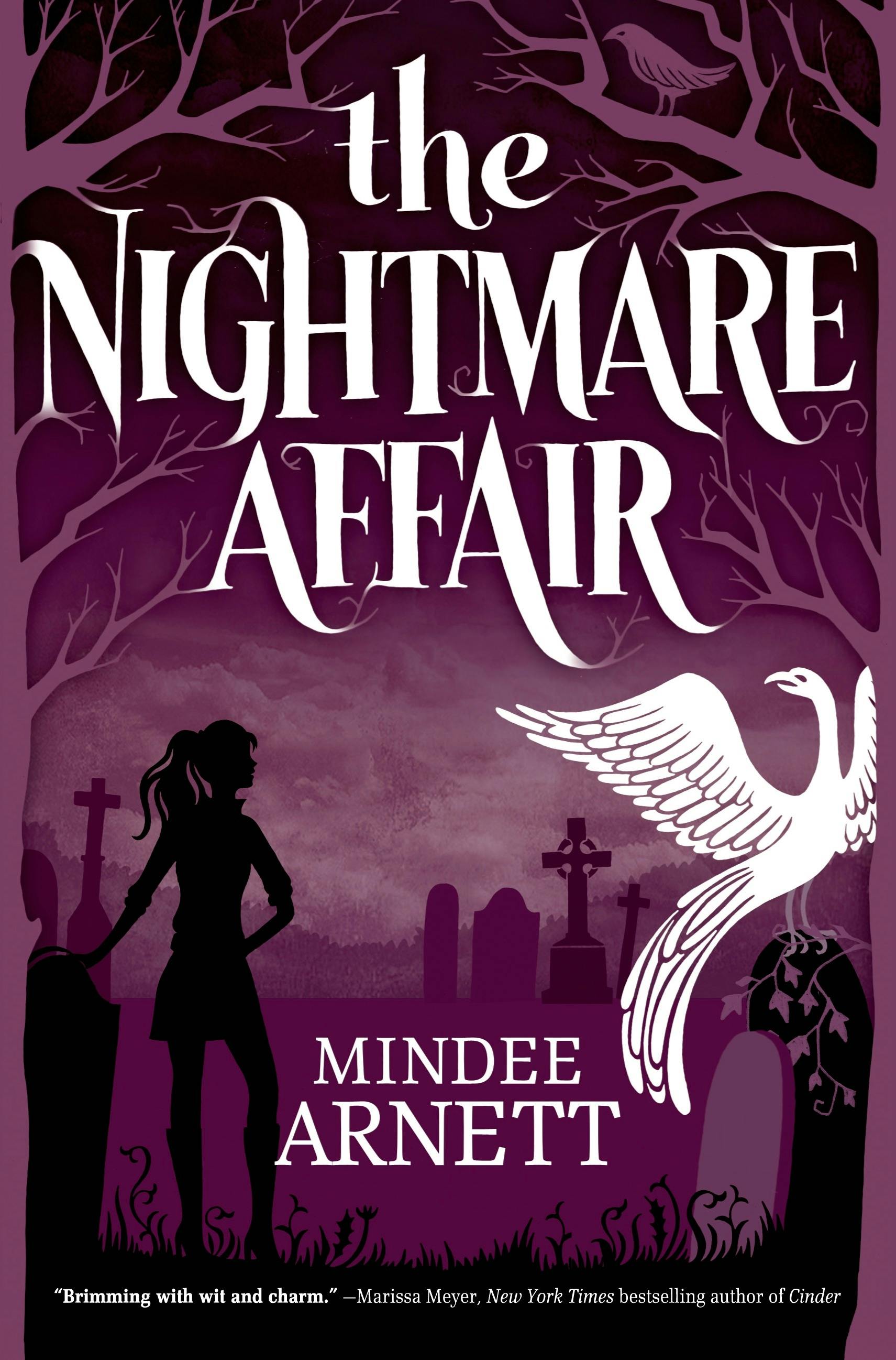 Cover for the book titled as: The Nightmare Affair