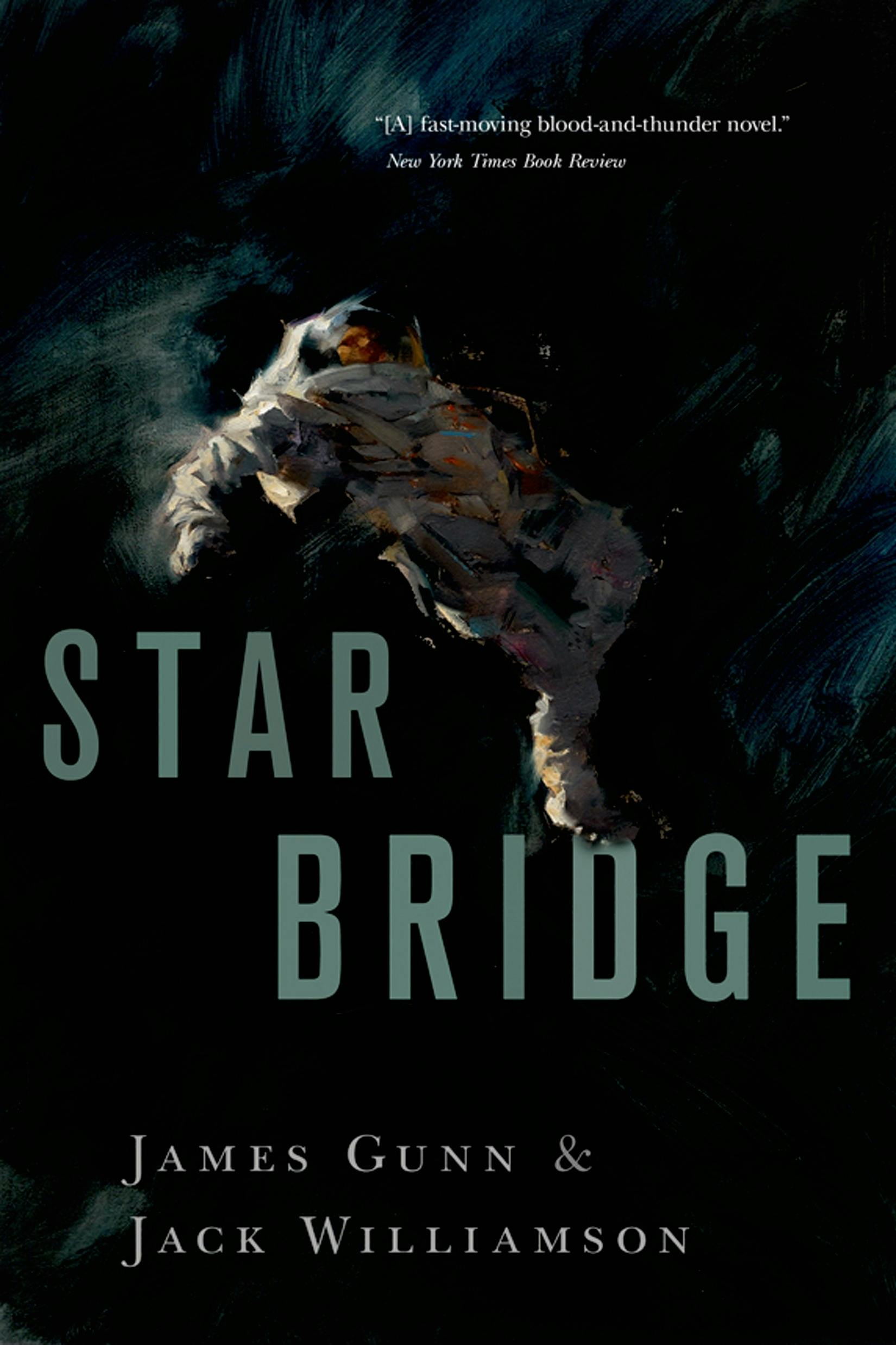 Cover for the book titled as: Star Bridge