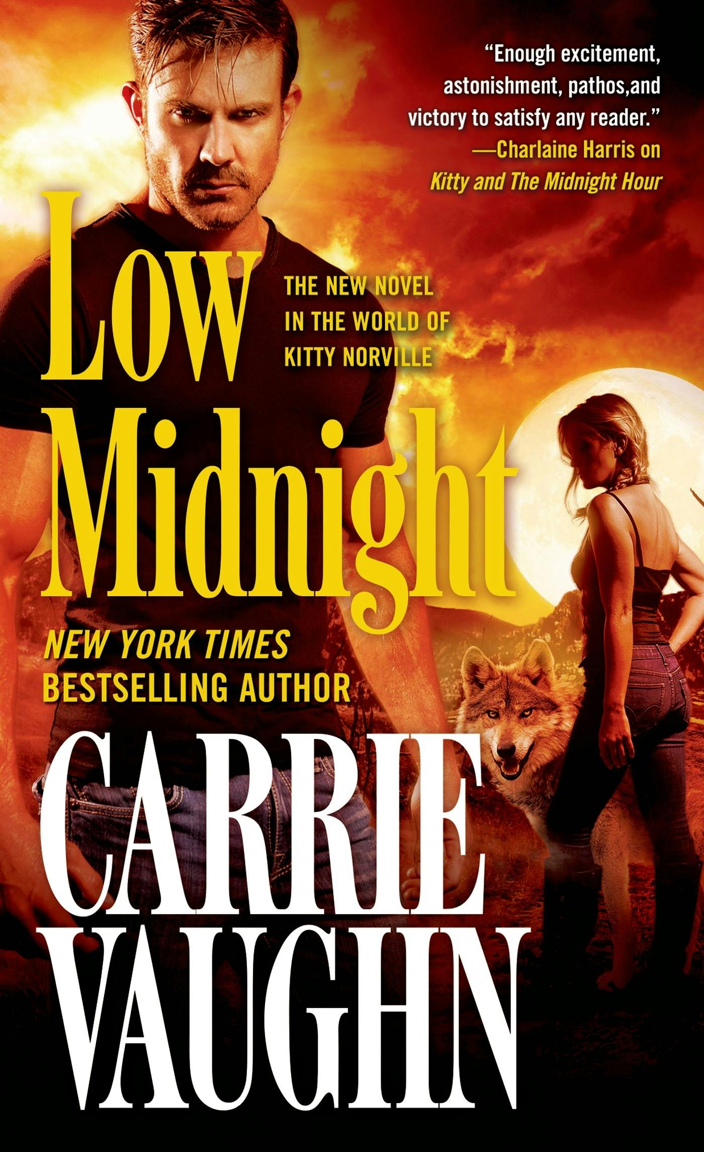 Cover for the book titled as: Low Midnight