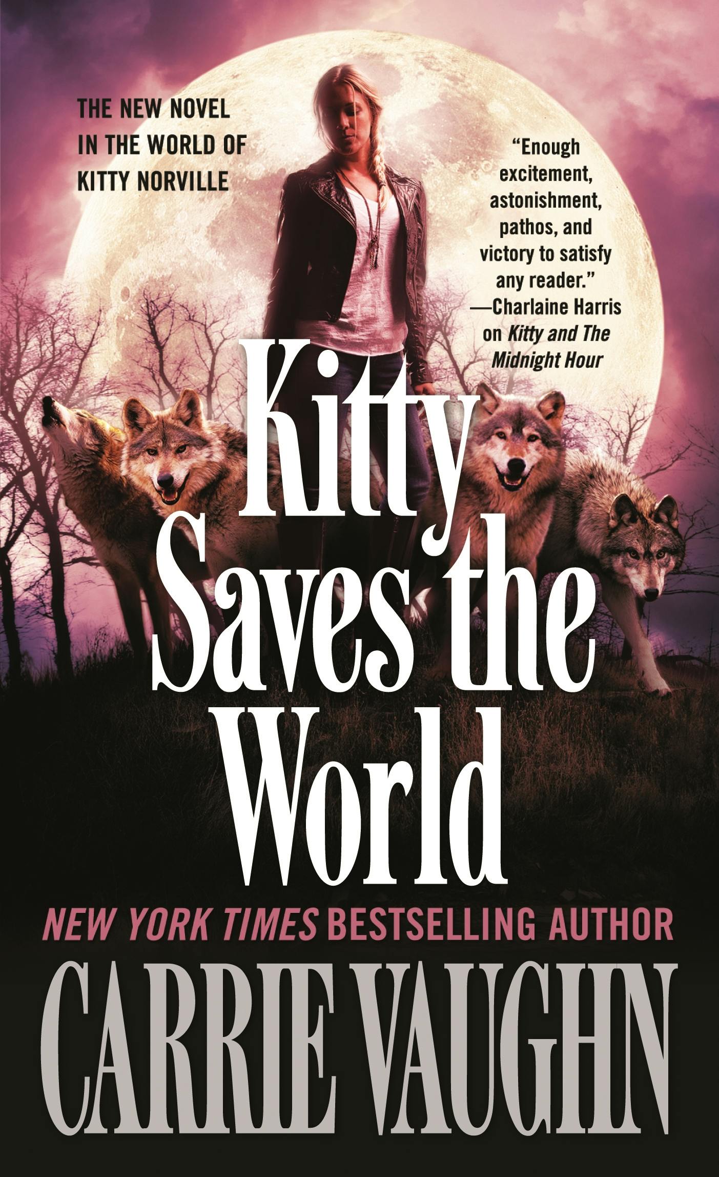 Cover for the book titled as: Kitty Saves the World