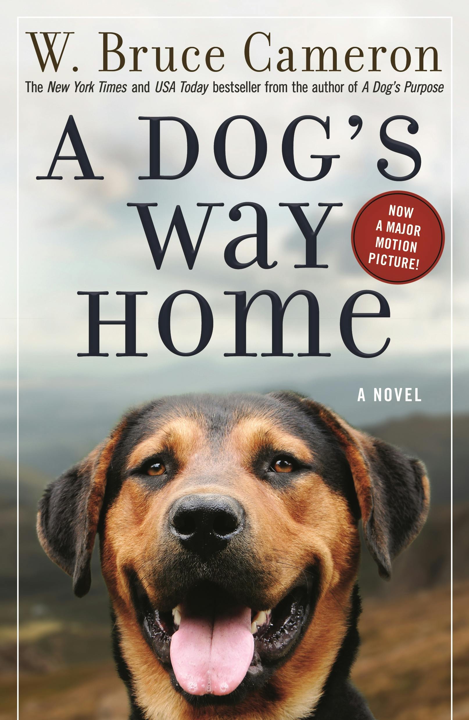 Image of A Dog's Way Home