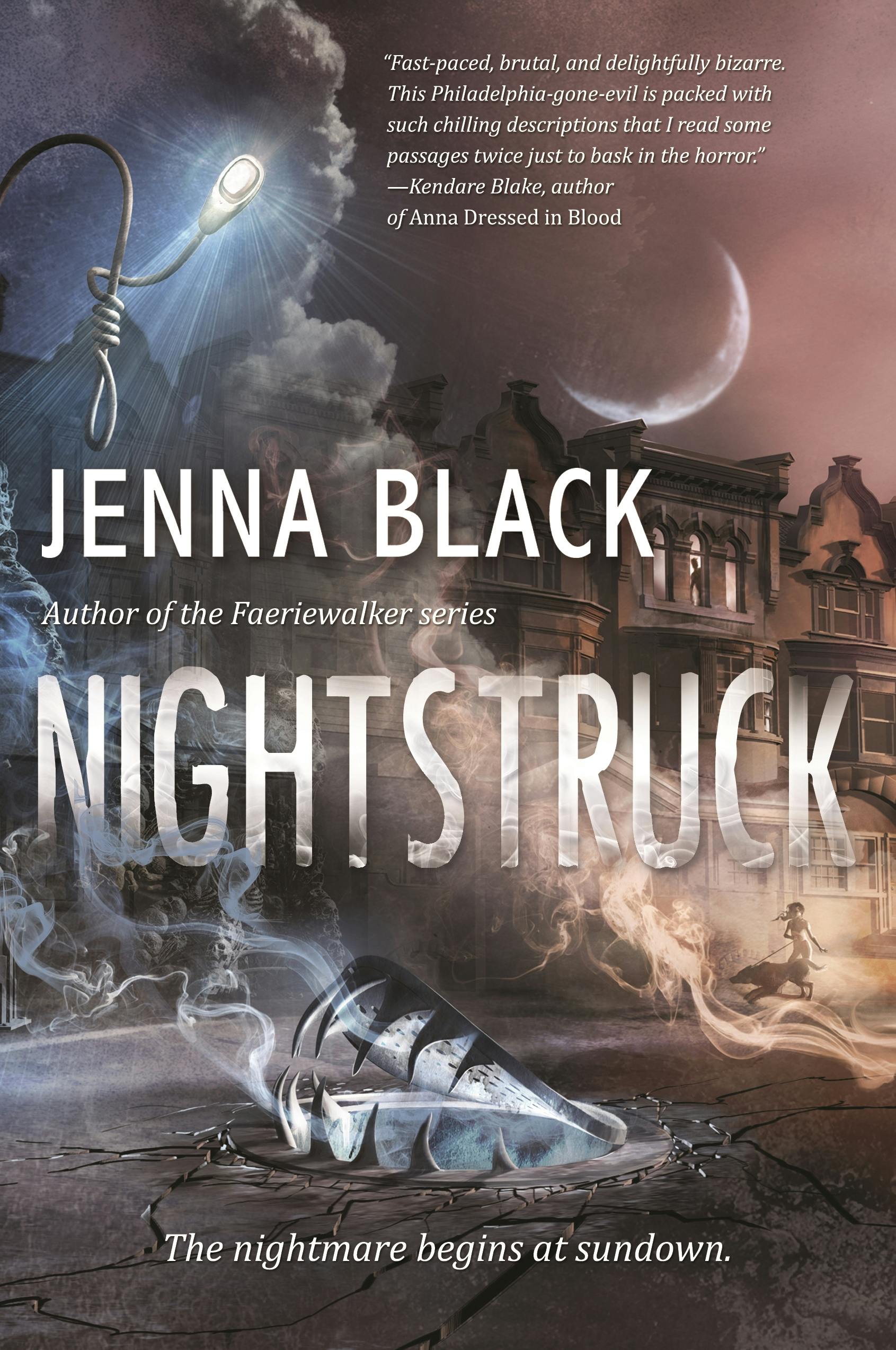 Cover for the book titled as: Nightstruck