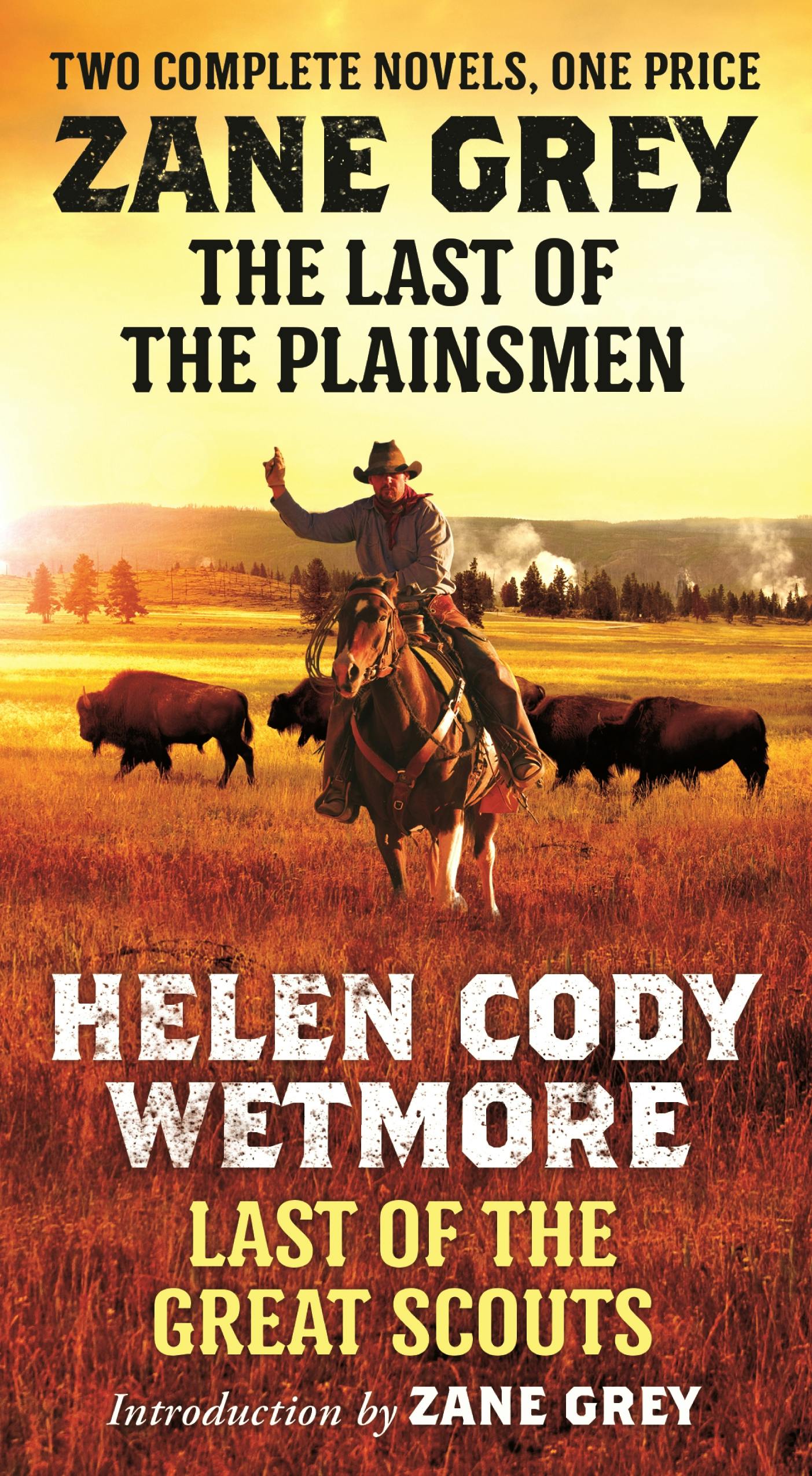 Cover for the book titled as: The Last of the Plainsmen and Last of the Great Scouts