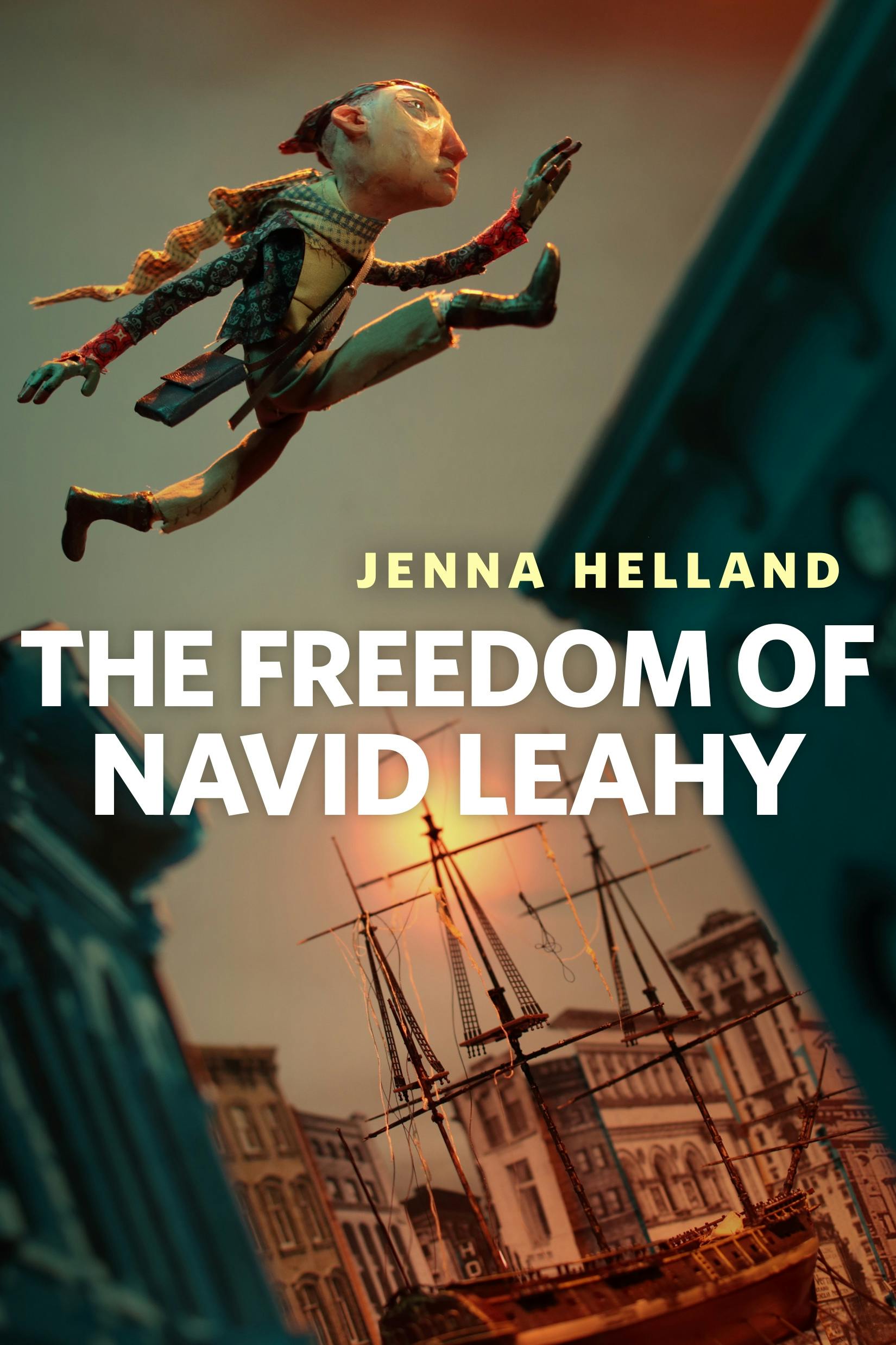 Cover for the book titled as: The Freedom of Navid Leahy