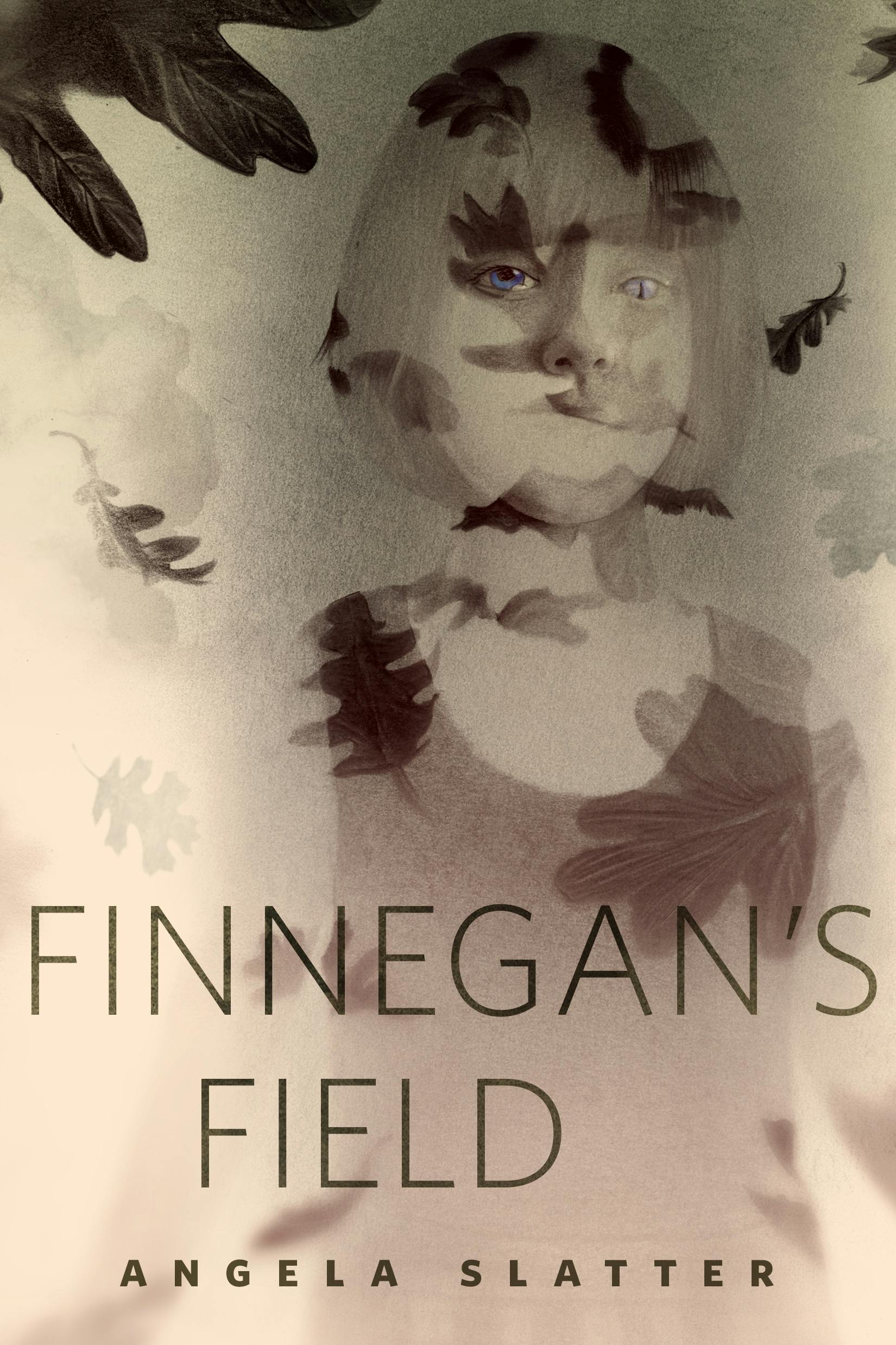 Cover for the book titled as: Finnegan's Field