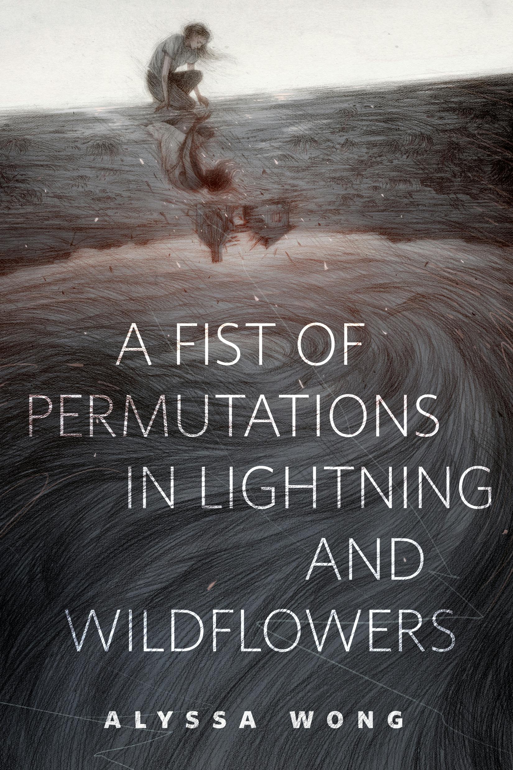 Cover for the book titled as: A Fist of Permutations in Lightning and Wildflowers