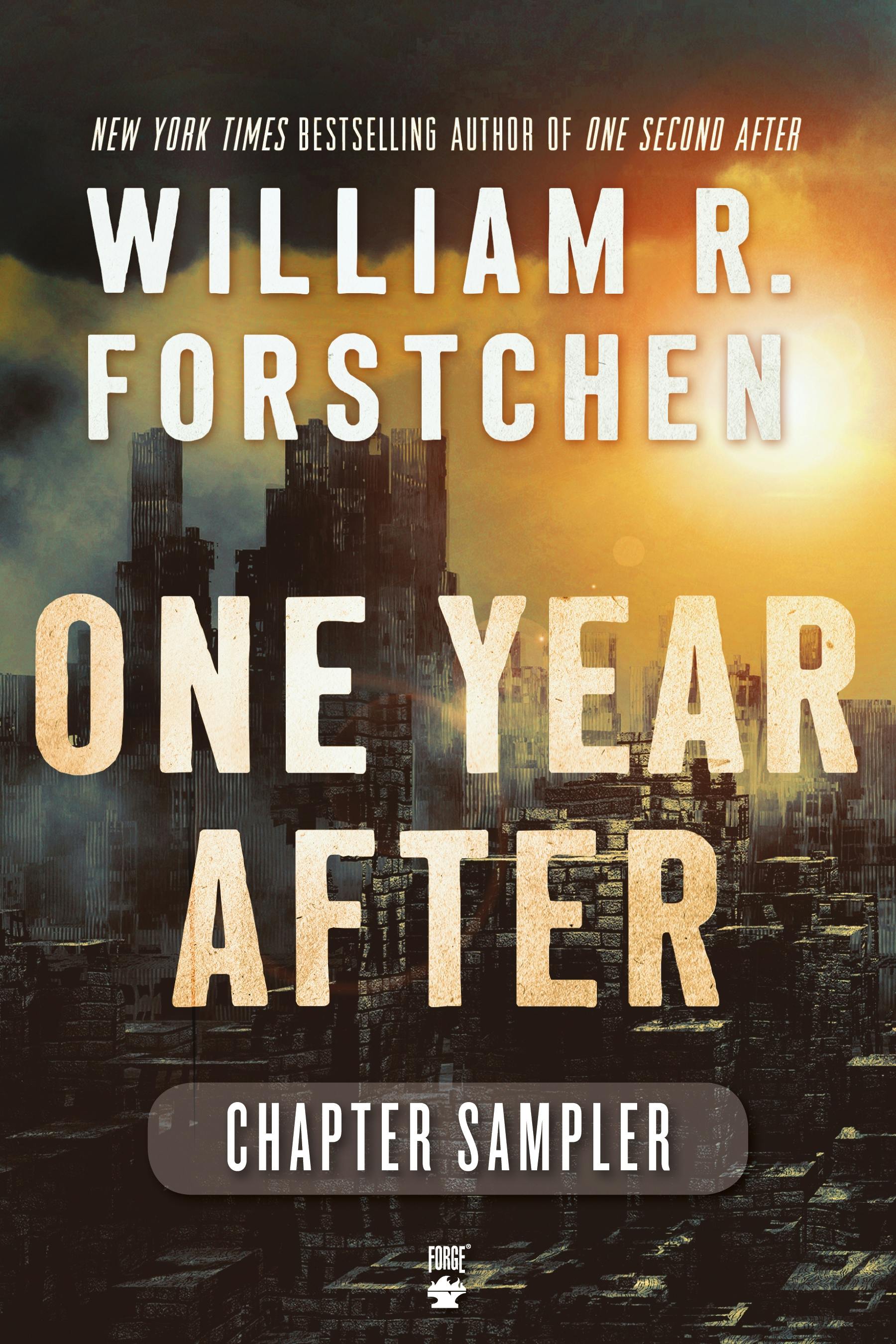 Cover for the book titled as: One Year After Chapter Sampler