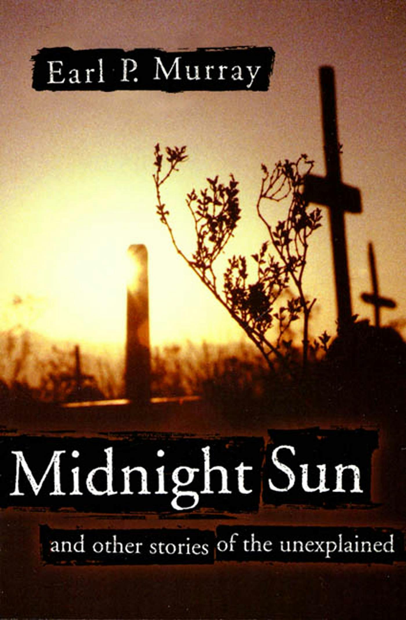 Cover for the book titled as: Midnight Sun