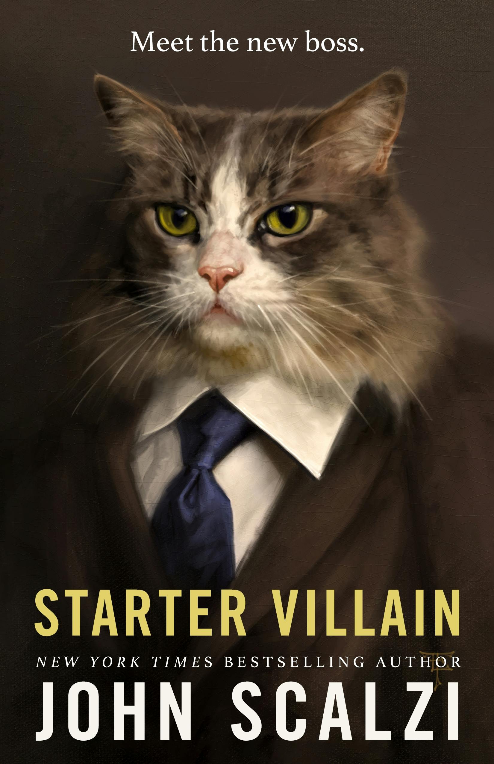 Cover for the book titled as: Starter Villain