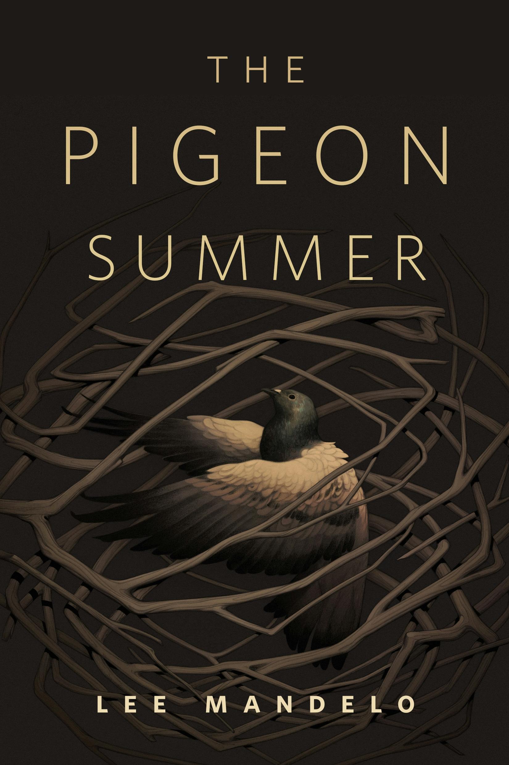 Cover for the book titled as: The Pigeon Summer