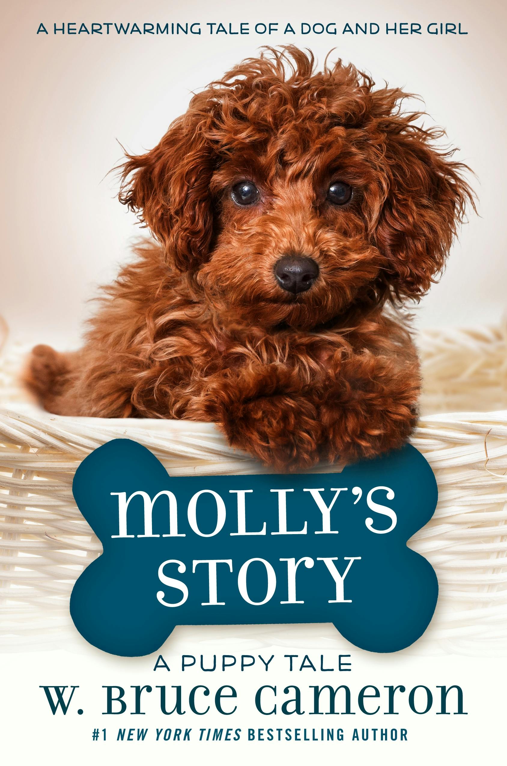 Cover for the book titled as: Molly's Story