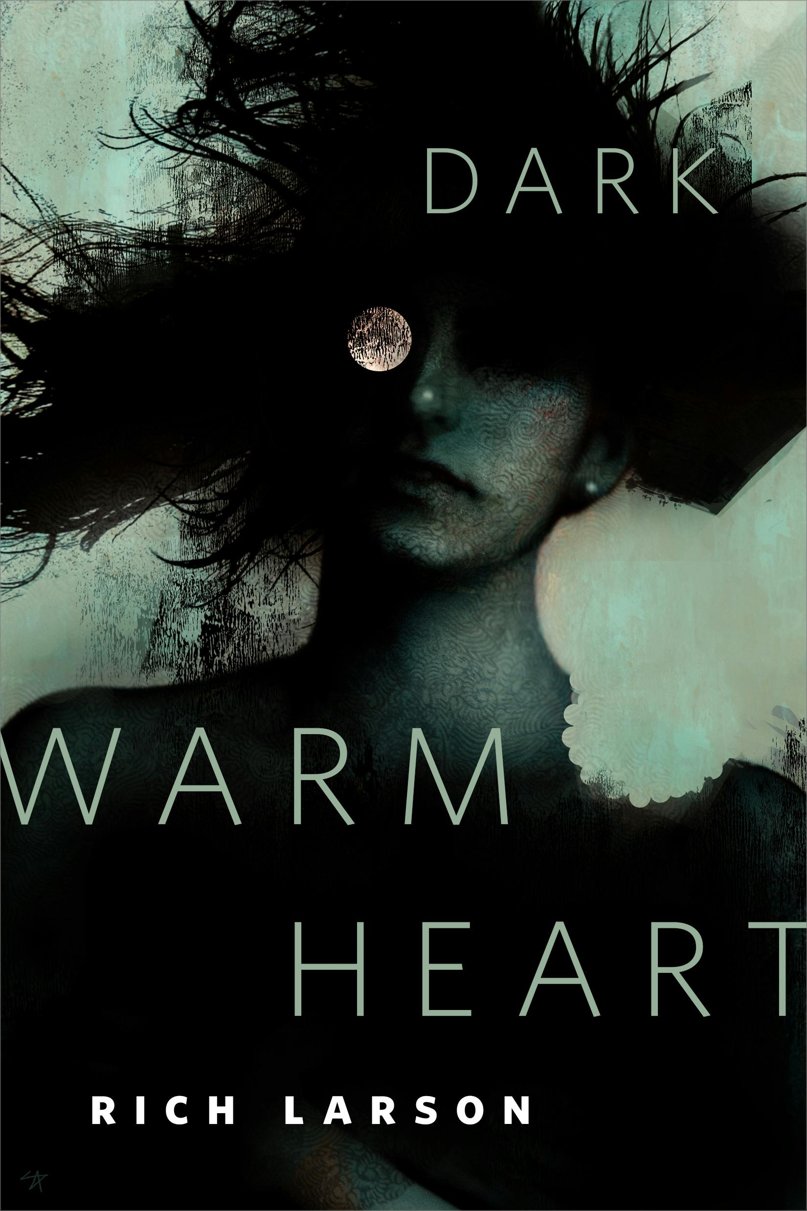 Cover for the book titled as: Dark Warm Heart